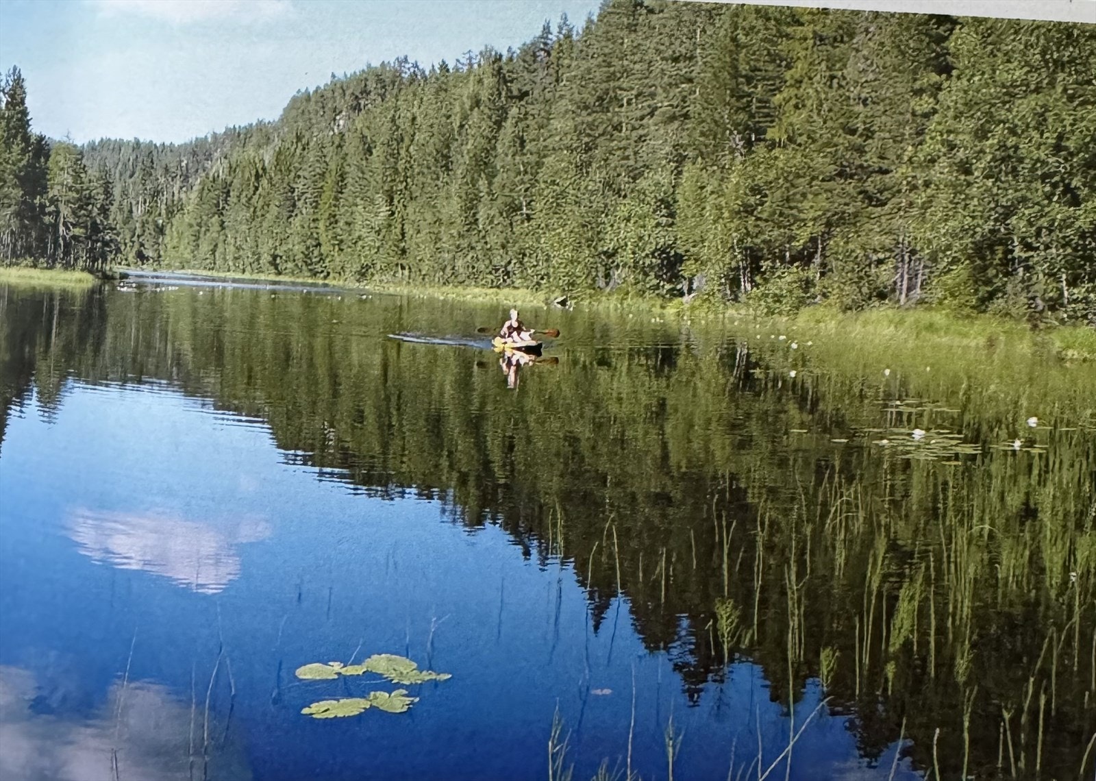 Privat bilde. Galleribilde