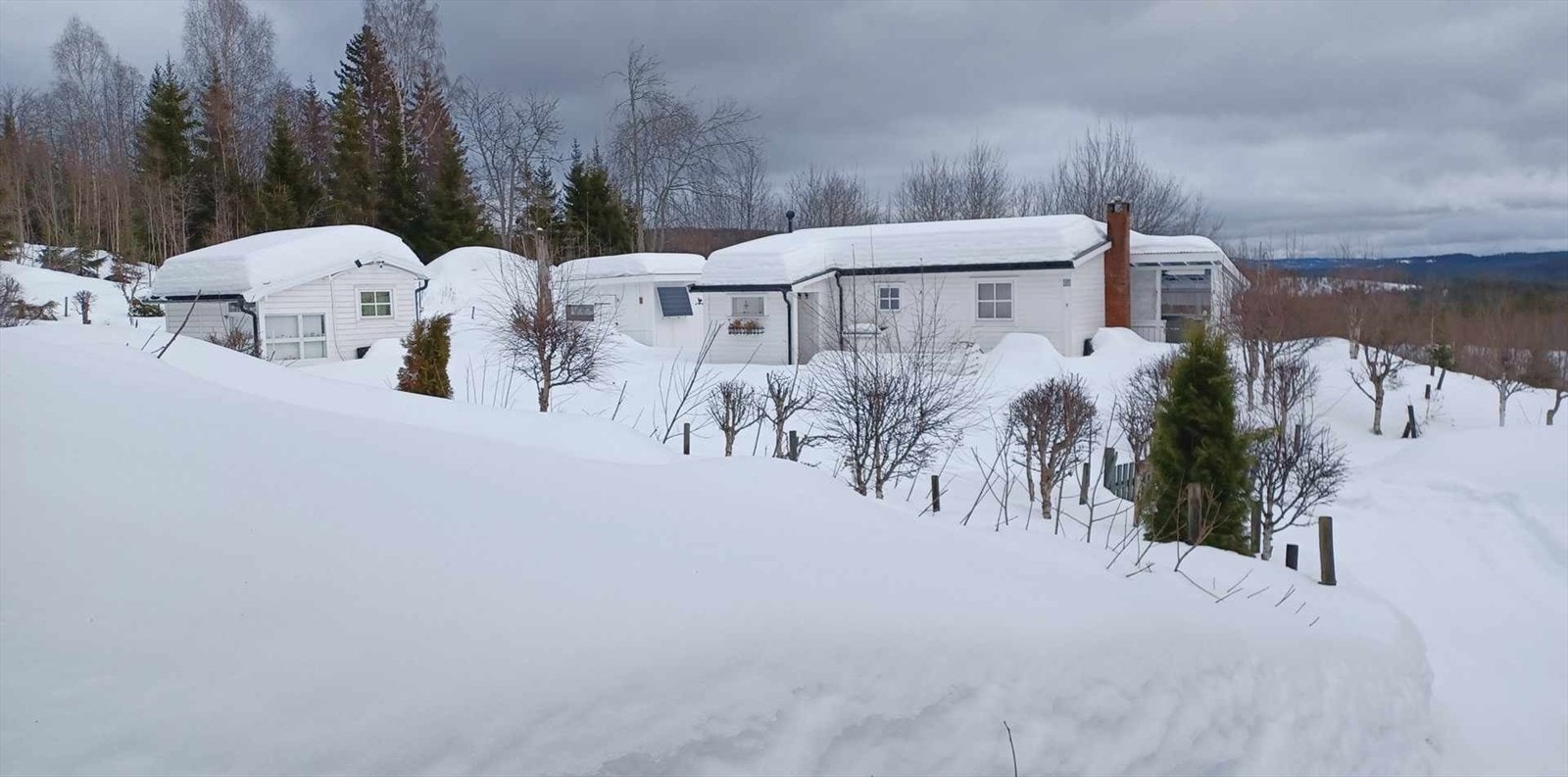 Privat vinterbilde. Galleribilde