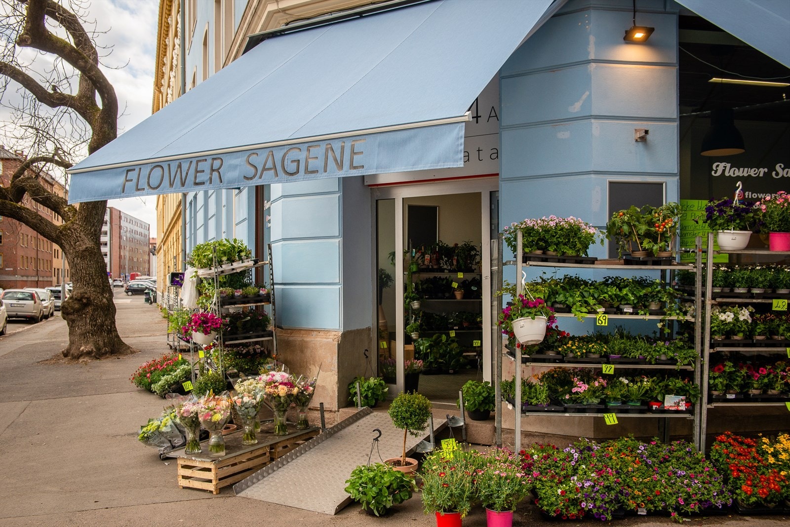 Flere hyggelige nisjebutikker i området, som Flower Sagene som du finner på nærmeste gatehjørne fra leiligheten Galleribilde
