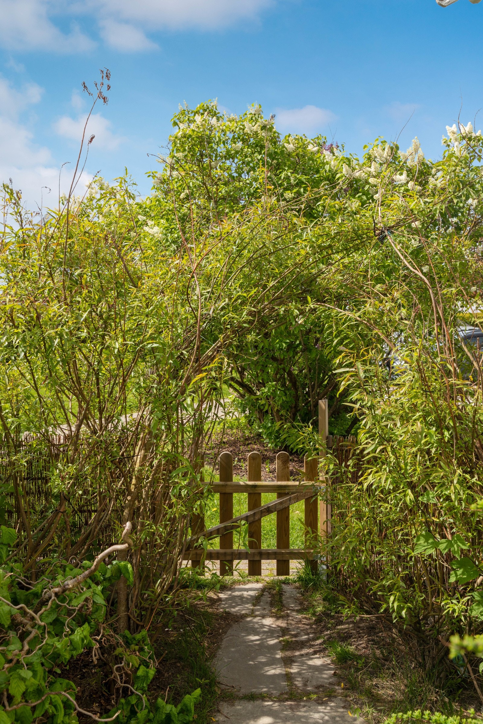 Port inn til privat hage. Galleribilde