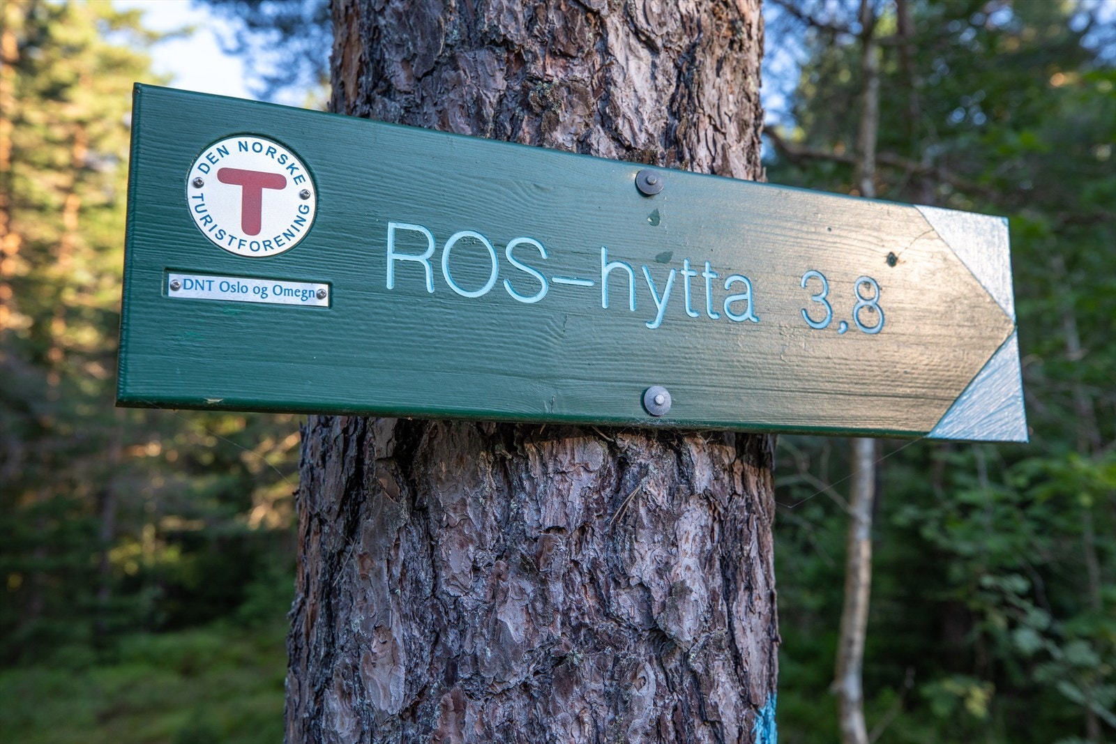 Området byr på fine turmuligheter - enten du trives best på gangstier i nærområdet eller ønsker å utforske mer naturpregede omgivelser. Galleribilde