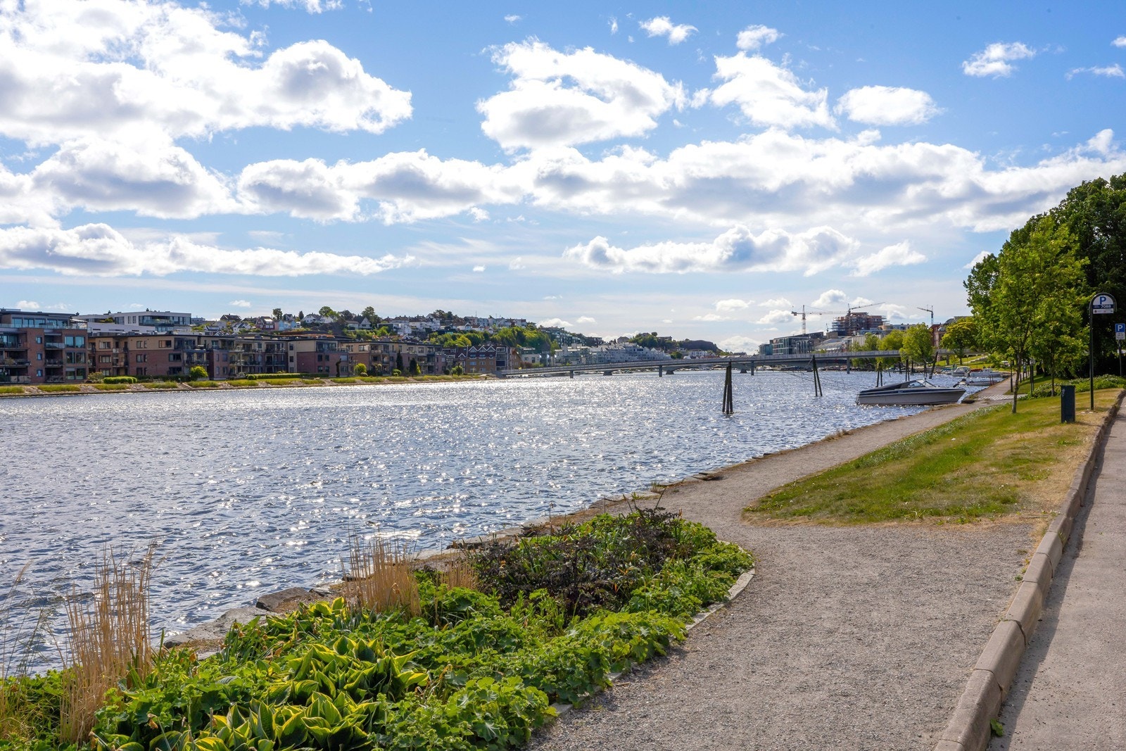 Nærområde like nedenfor. Galleribilde