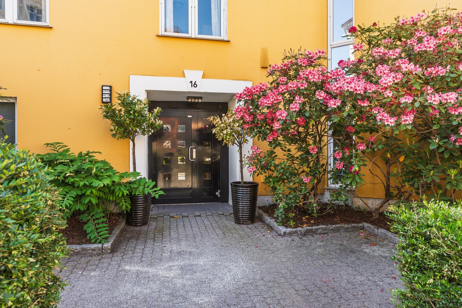 Velkommen til visning - husk påmelding! Galleribilde