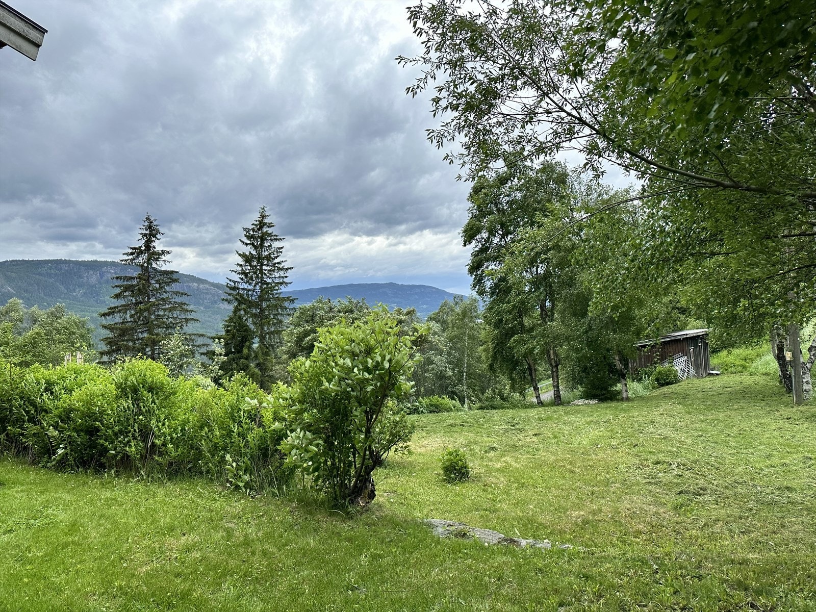 Romslig plen med uthus med bodrom. Galleribilde