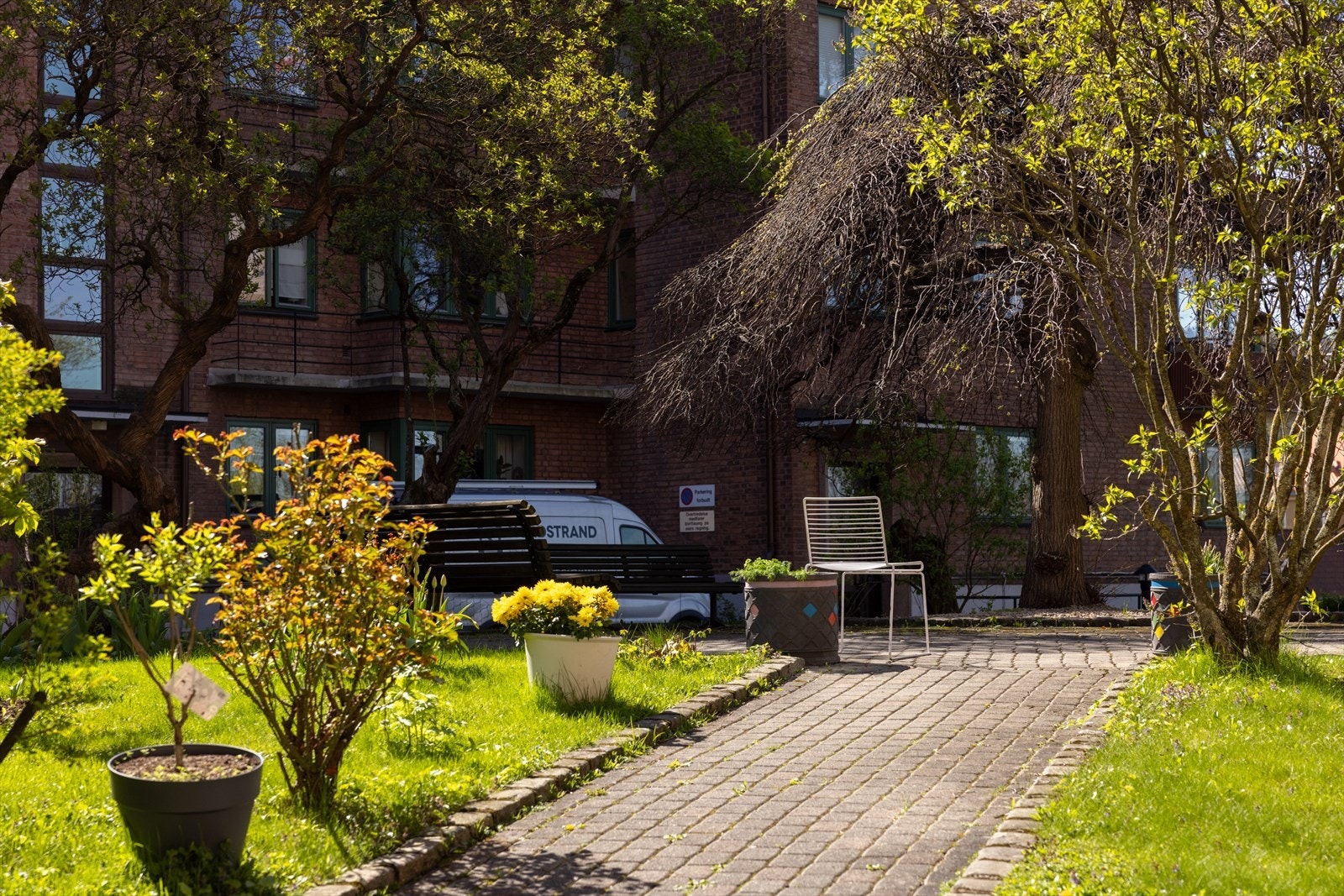 Hyggelig bakgård med flotte grøntarealer og flere sittegrupper. Galleribilde