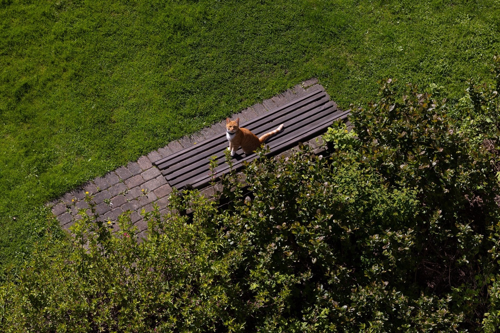 Nydelig felleshage med sittegrupper, fellesgrill og nydelig beplantning. Galleribilde