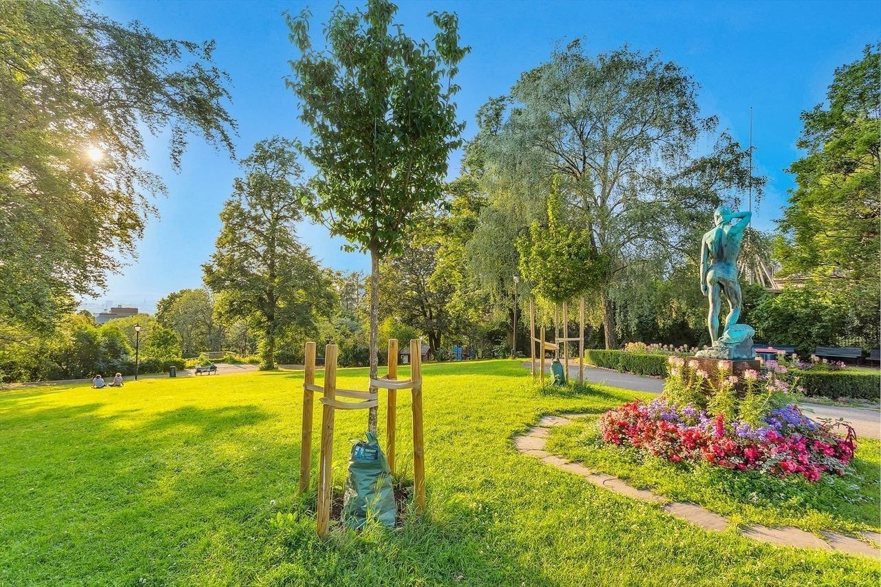 Kampen park er en liten perle med flere vannspeil og en luftig plassering som gir utsikt over byen. Galleribilde