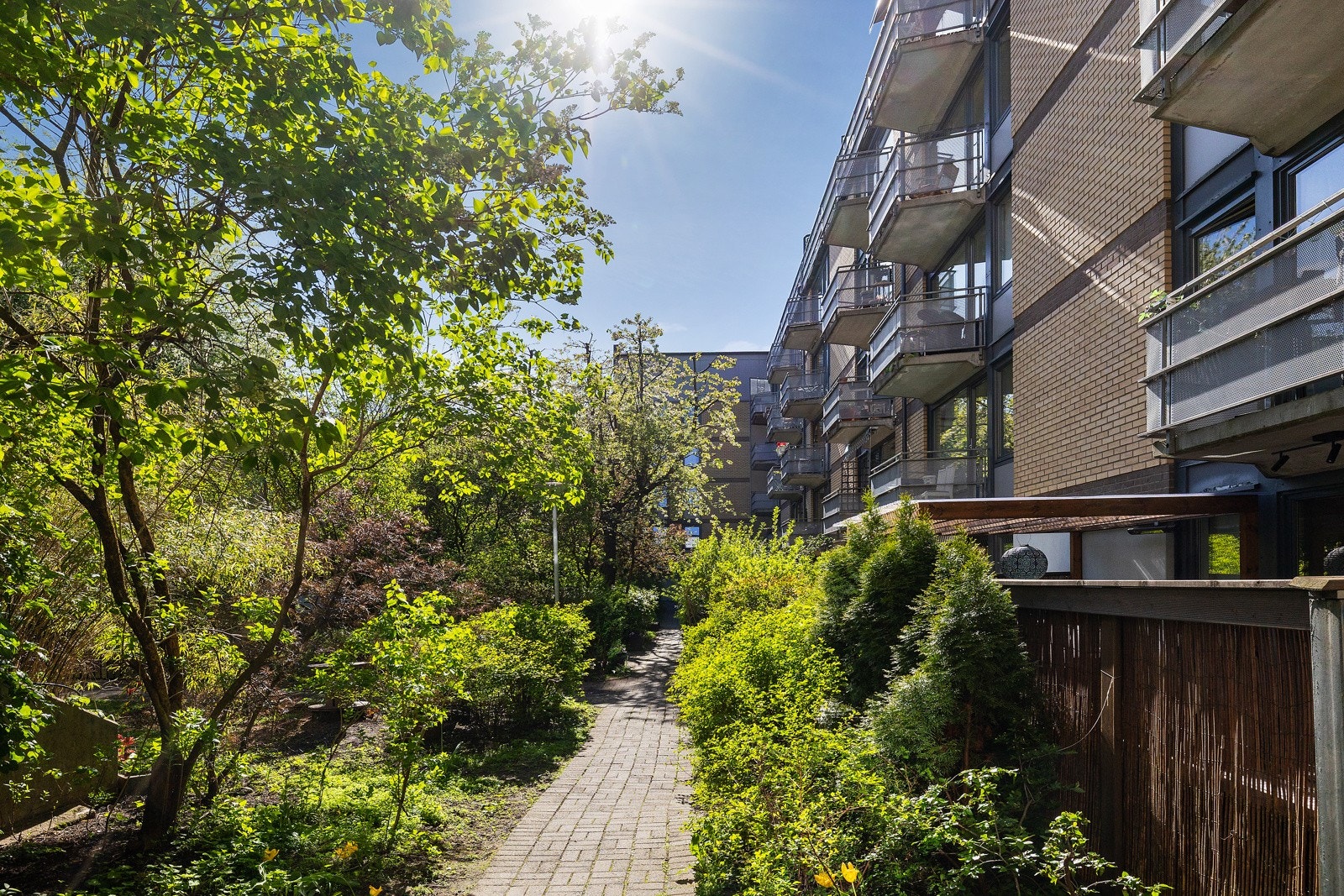 Frodig og velholdt bakgård med sittegrupper. Galleribilde