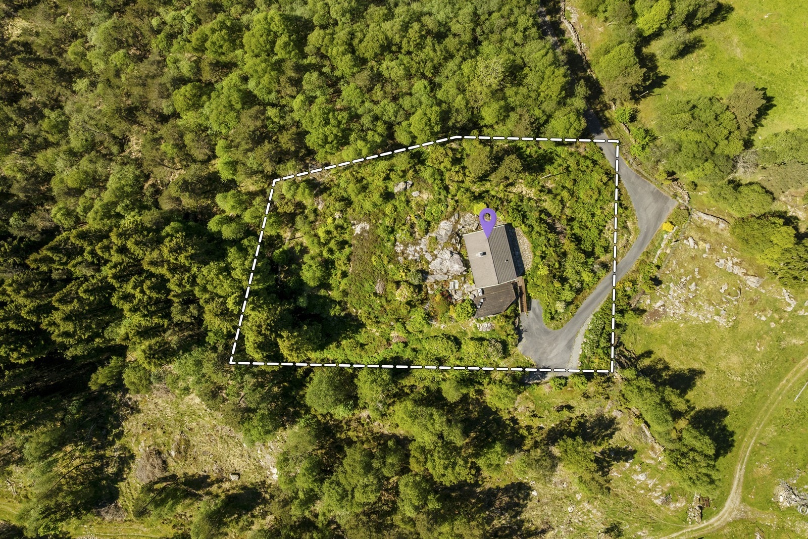 Stor tomt! Galleribilde