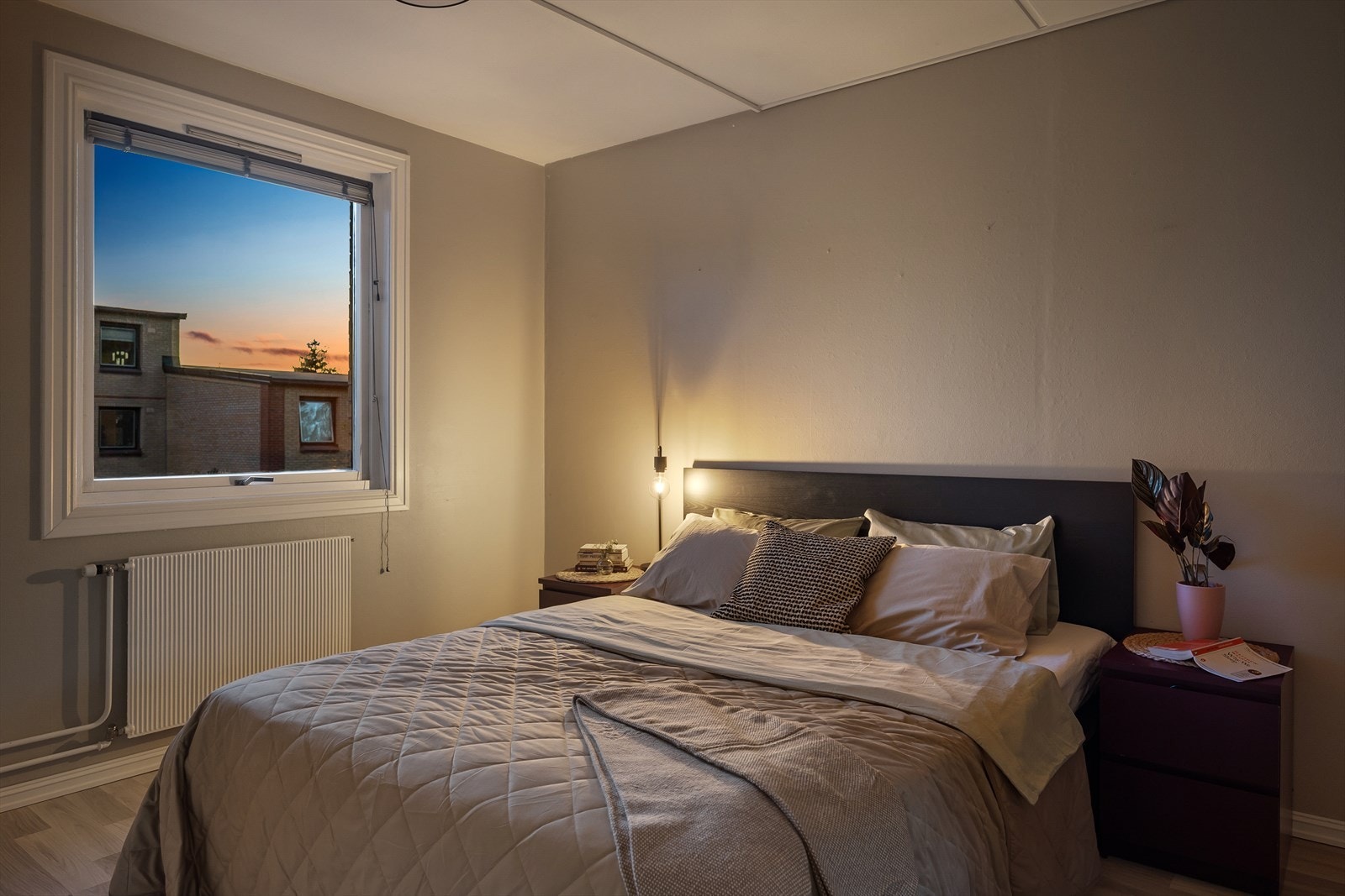 Kveldsstemning. Galleribilde