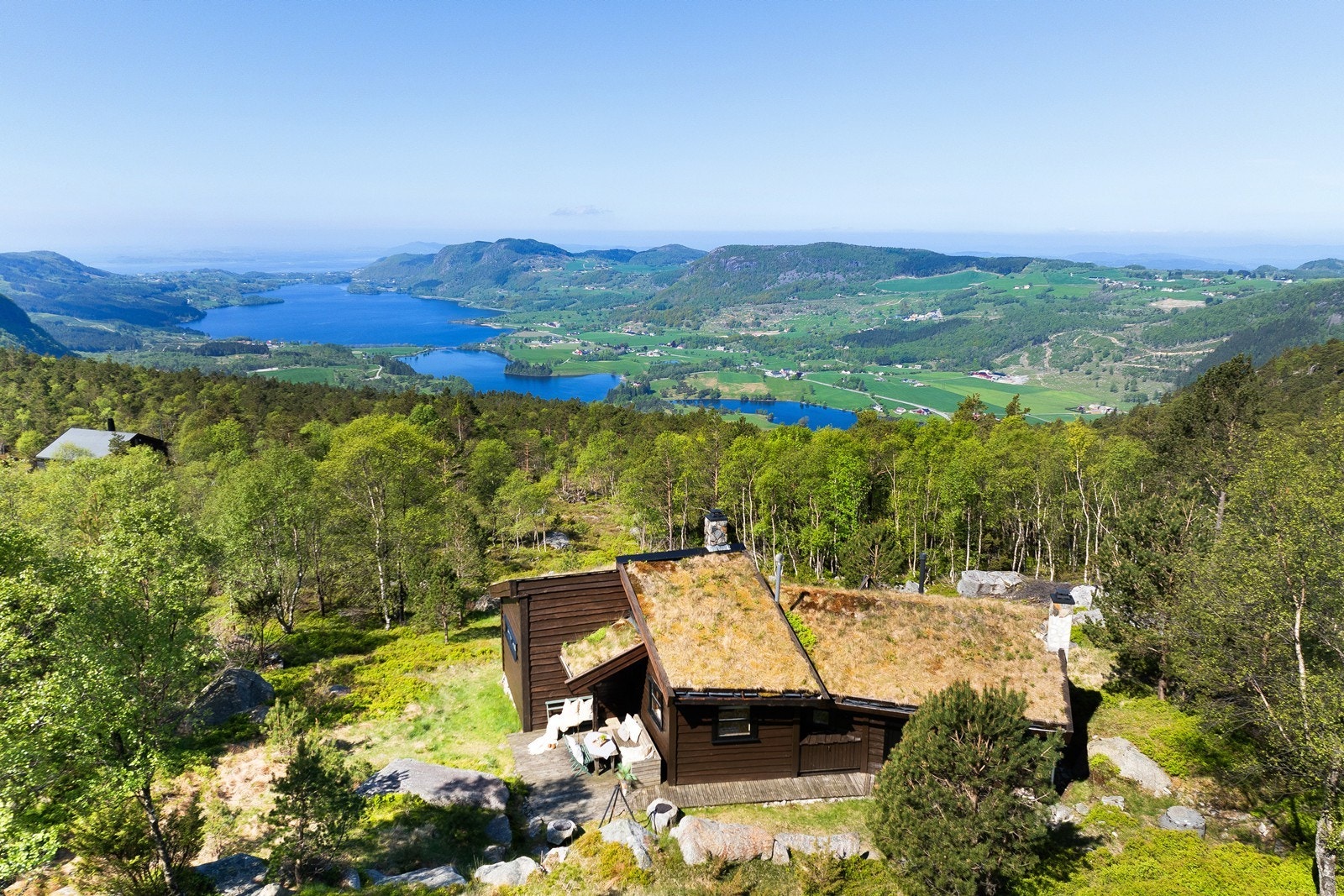 En perle av de sjeldne! Galleribilde