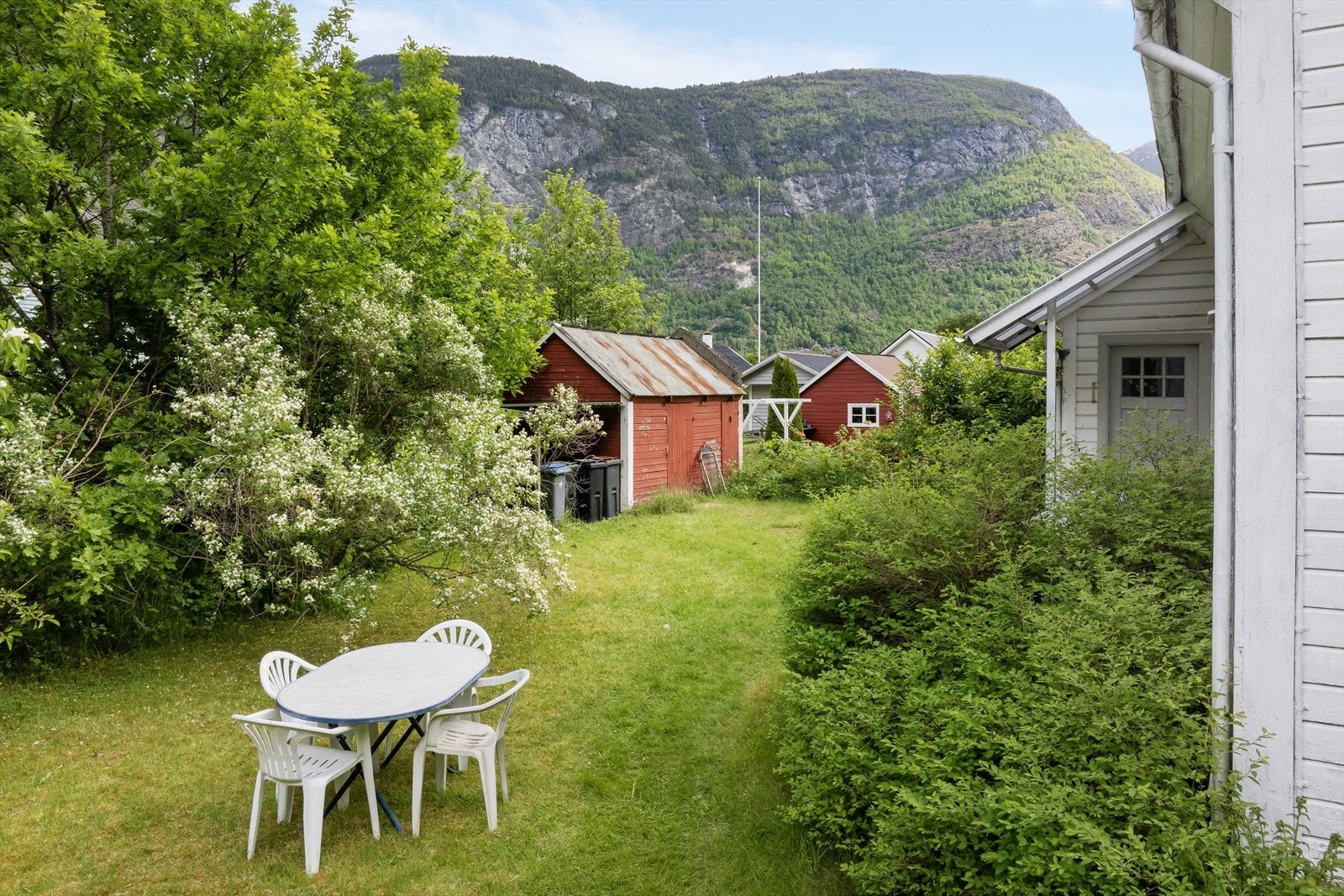 - Stor hage med plen og ulike busker og tre - Galleribilde