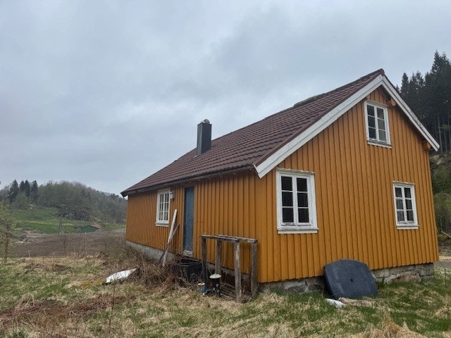 Bakdør Galleribilde