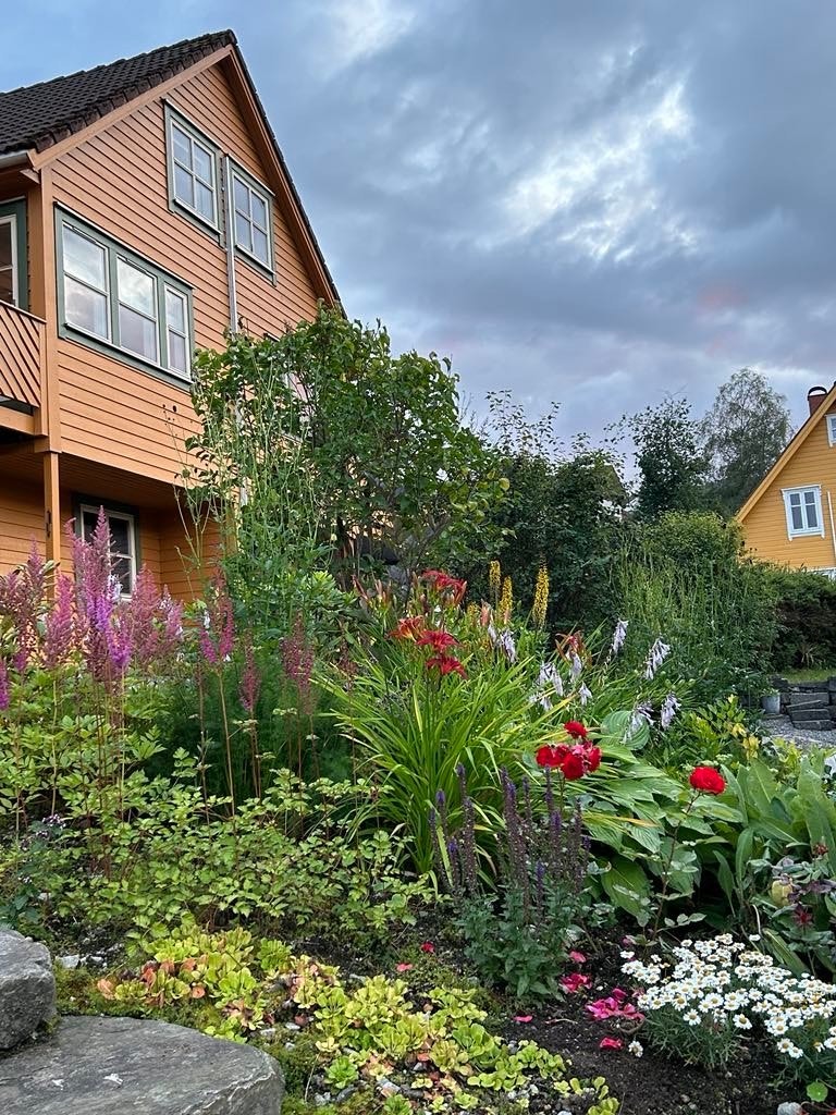 Ein frodig, fint tilplanta hage. (privat bilde) Galleribilde