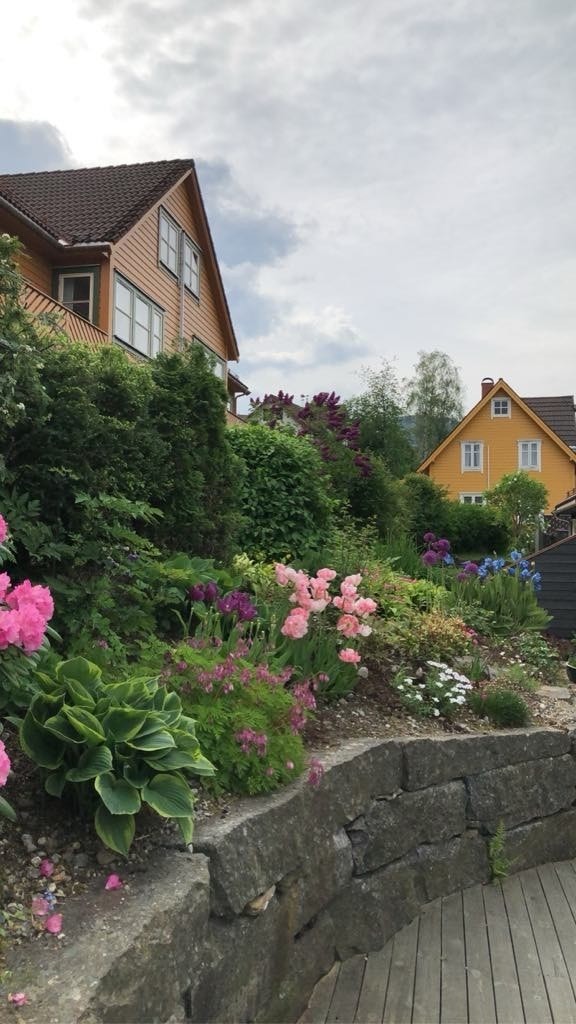 Privat bilete Galleribilde