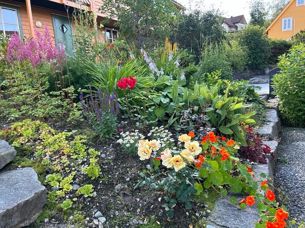 Fint beplanta med stauder - kjem att år etter år. (Privat bilete) Galleribilde