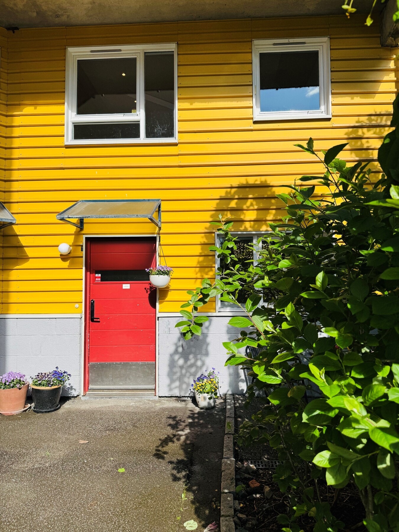 Inngangsparti i solskinn. Galleribilde