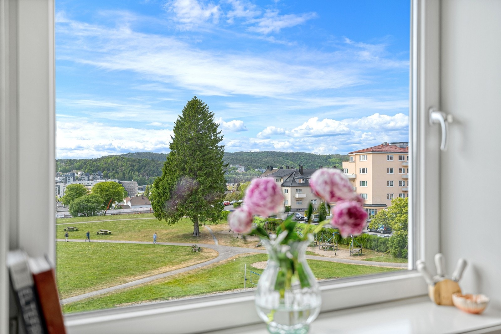 Utsikten går over Vabua-park og ned mot byen. Galleribilde