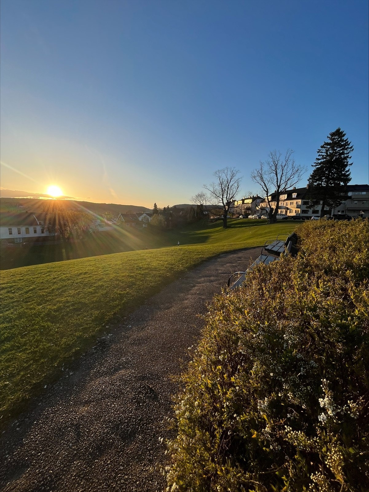 Solnedgang fra Vabua park. (Selgers bilde). Galleribilde