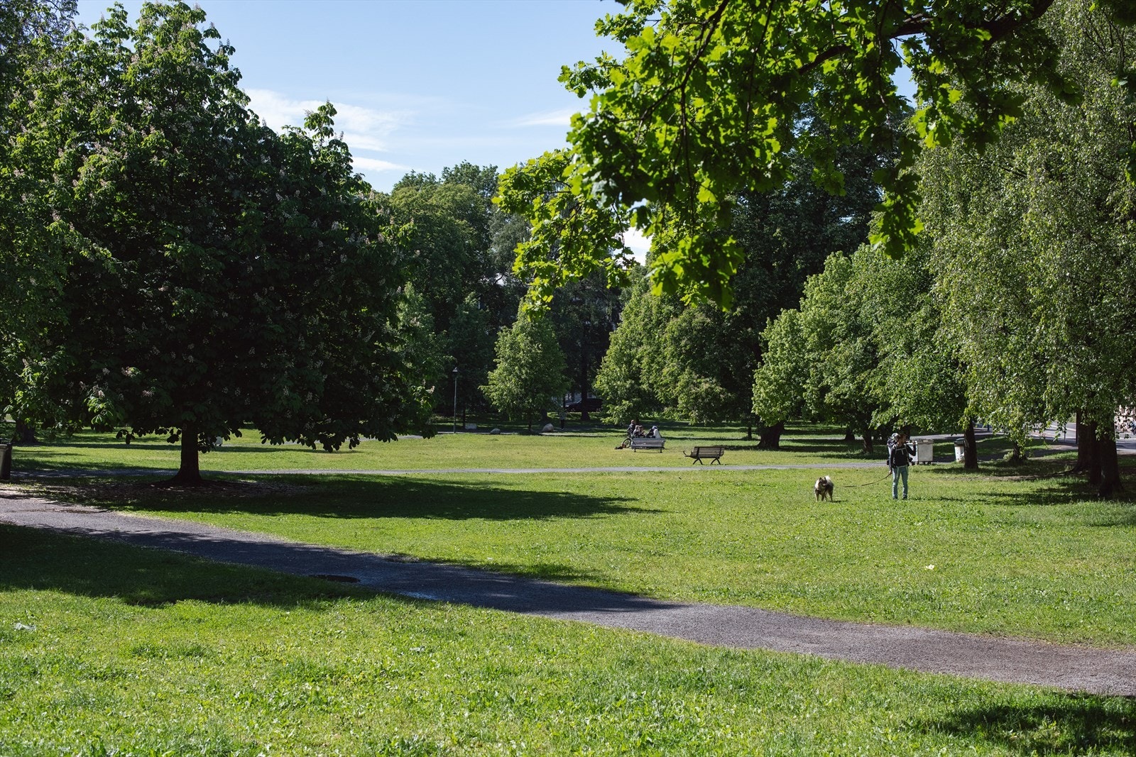 Nærområdet - Sofienbergparken. Galleribilde