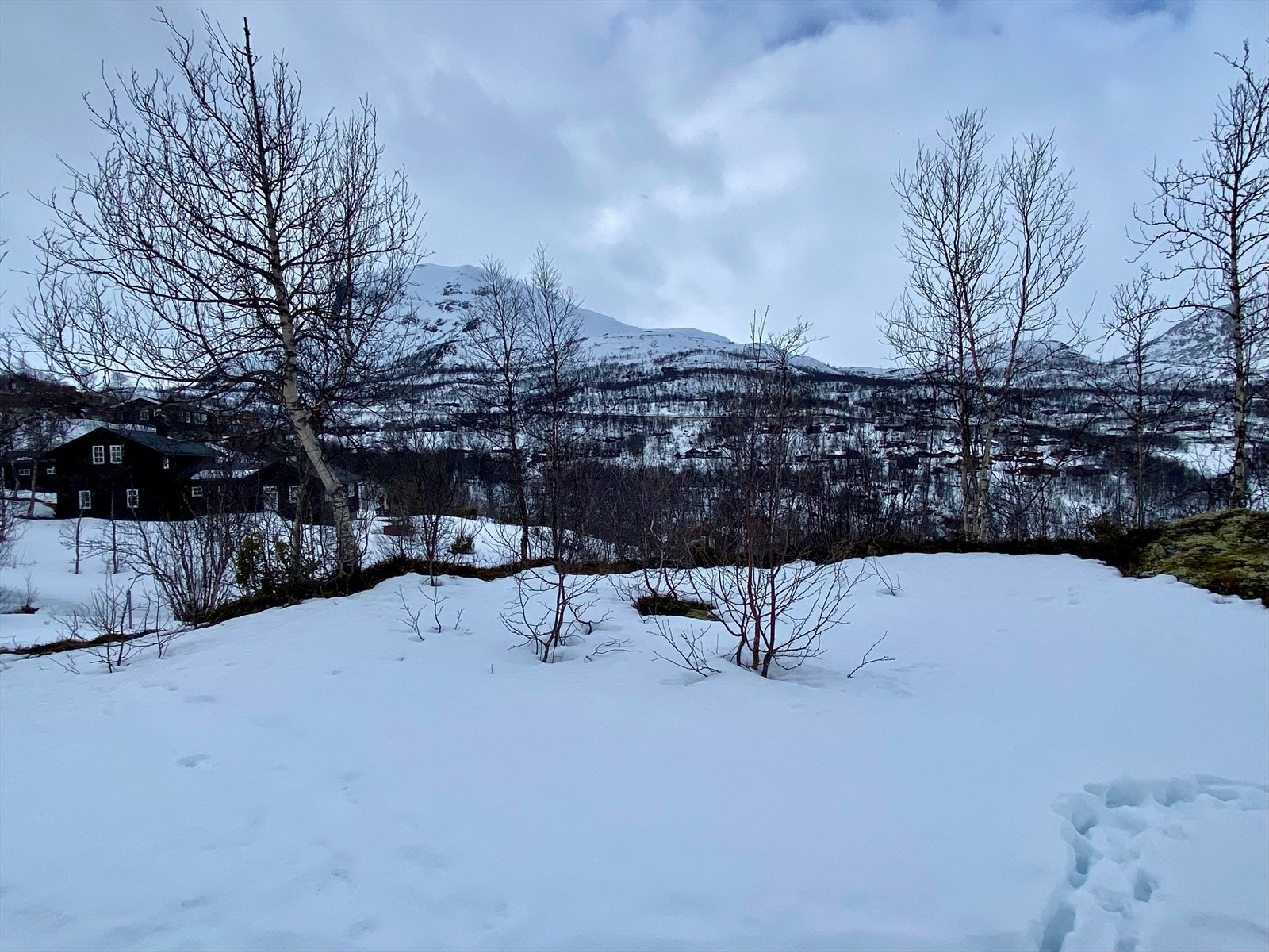 Eigedommen ligg rett ved skisenter og kilometervis med preparerte skiløyper. Galleribilde