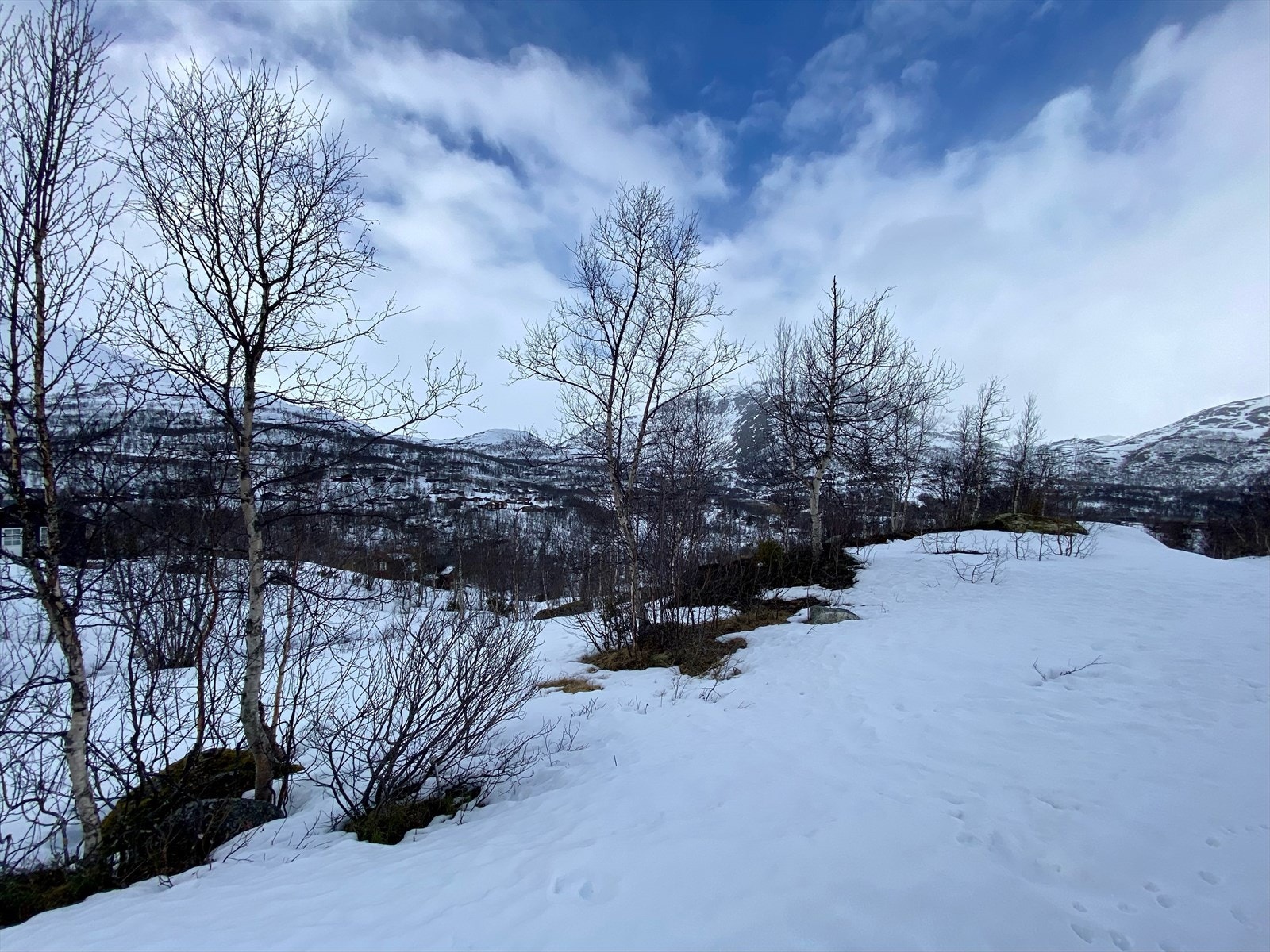 Tomta er enkel å opparbeide og klar for ny eigar... Galleribilde