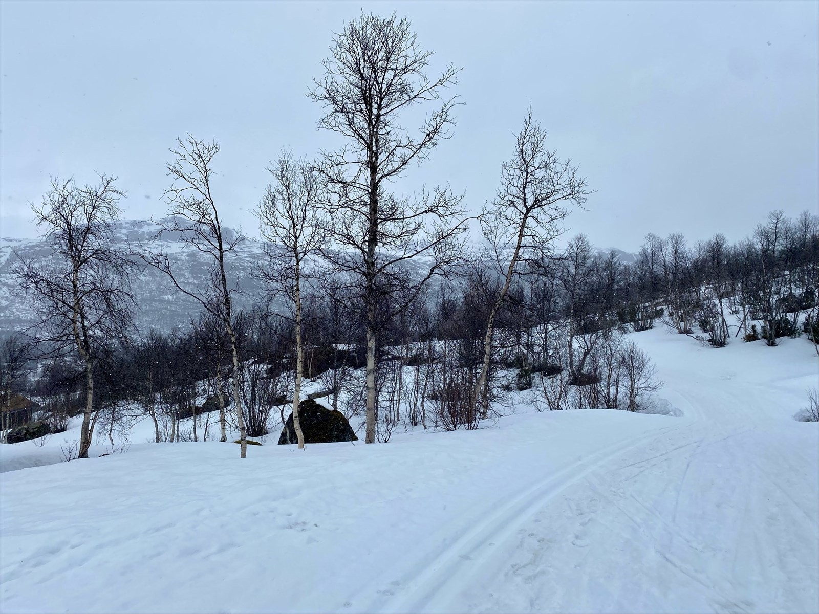 ... her kan ein sette opp 216 m2 BYA fordelt på maksimalt 3 bygg. Galleribilde