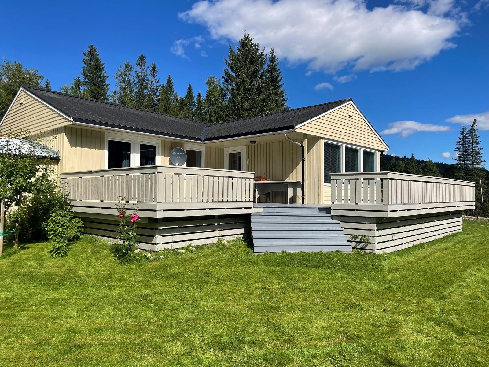 Selgers private bilder Galleribilde