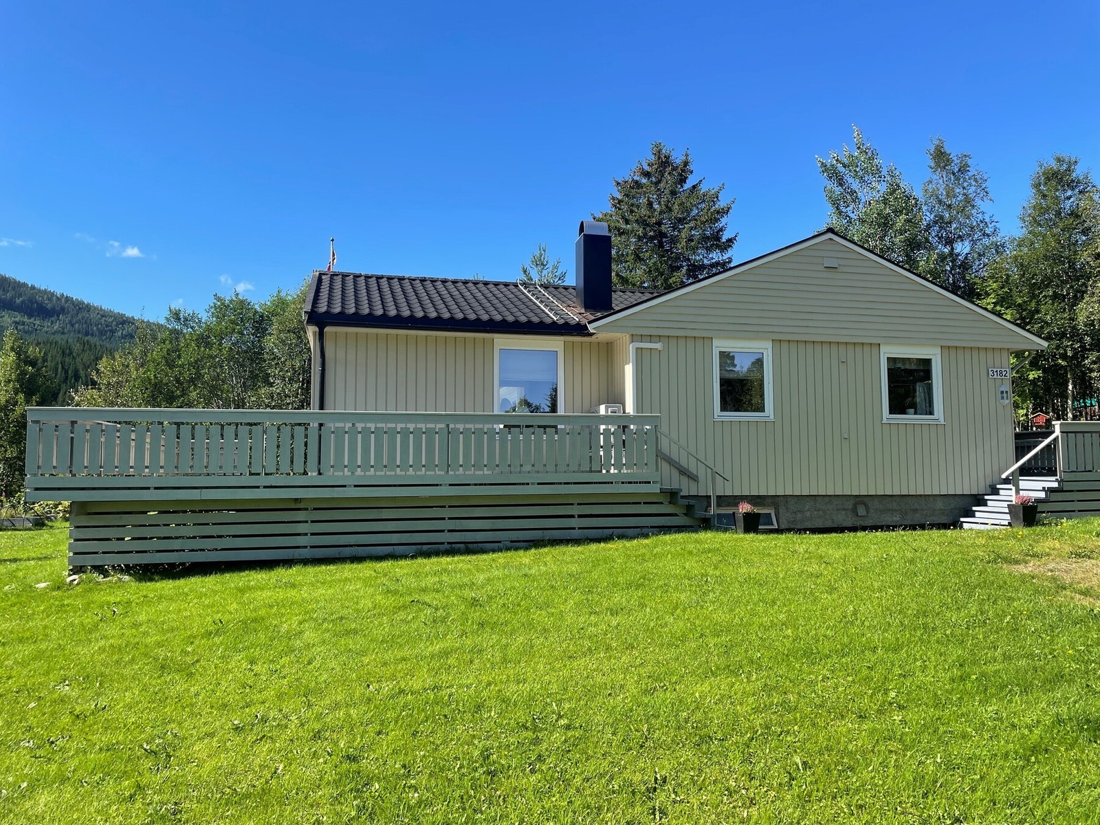 Selgers private bilder Galleribilde