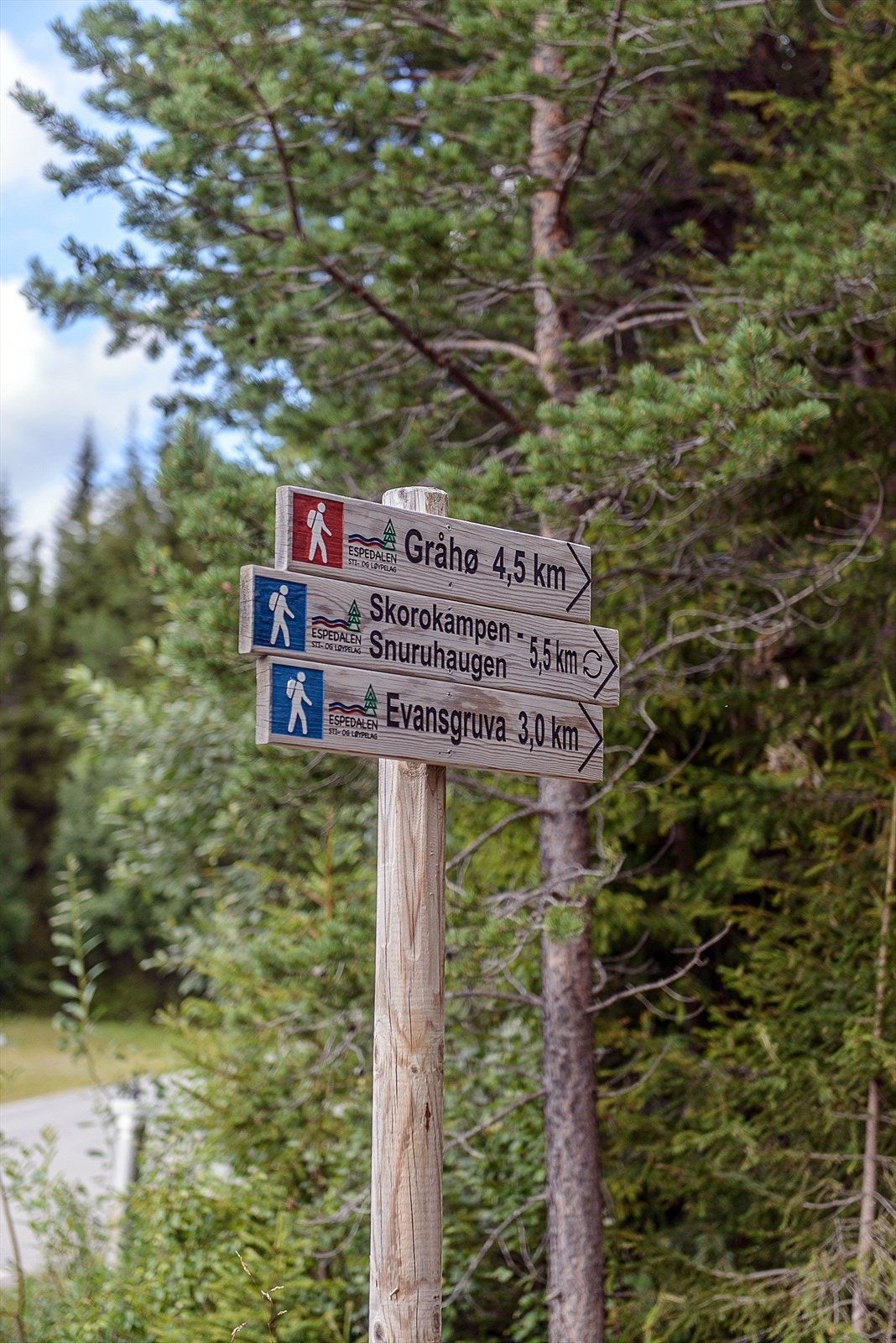 Her kan du gå flere flotte turer som er godt merket. Galleribilde