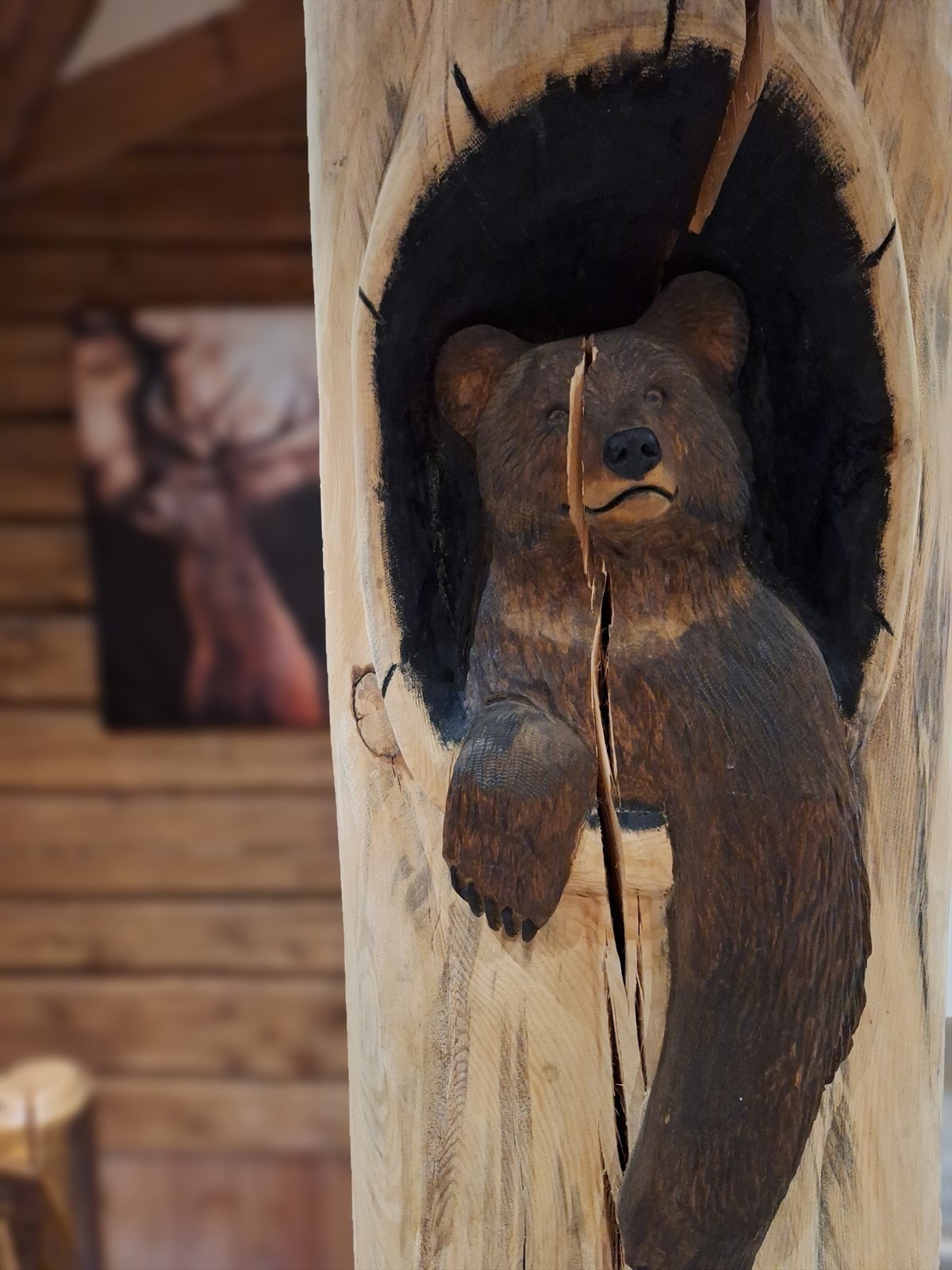 Bjørnehytta. Galleribilde