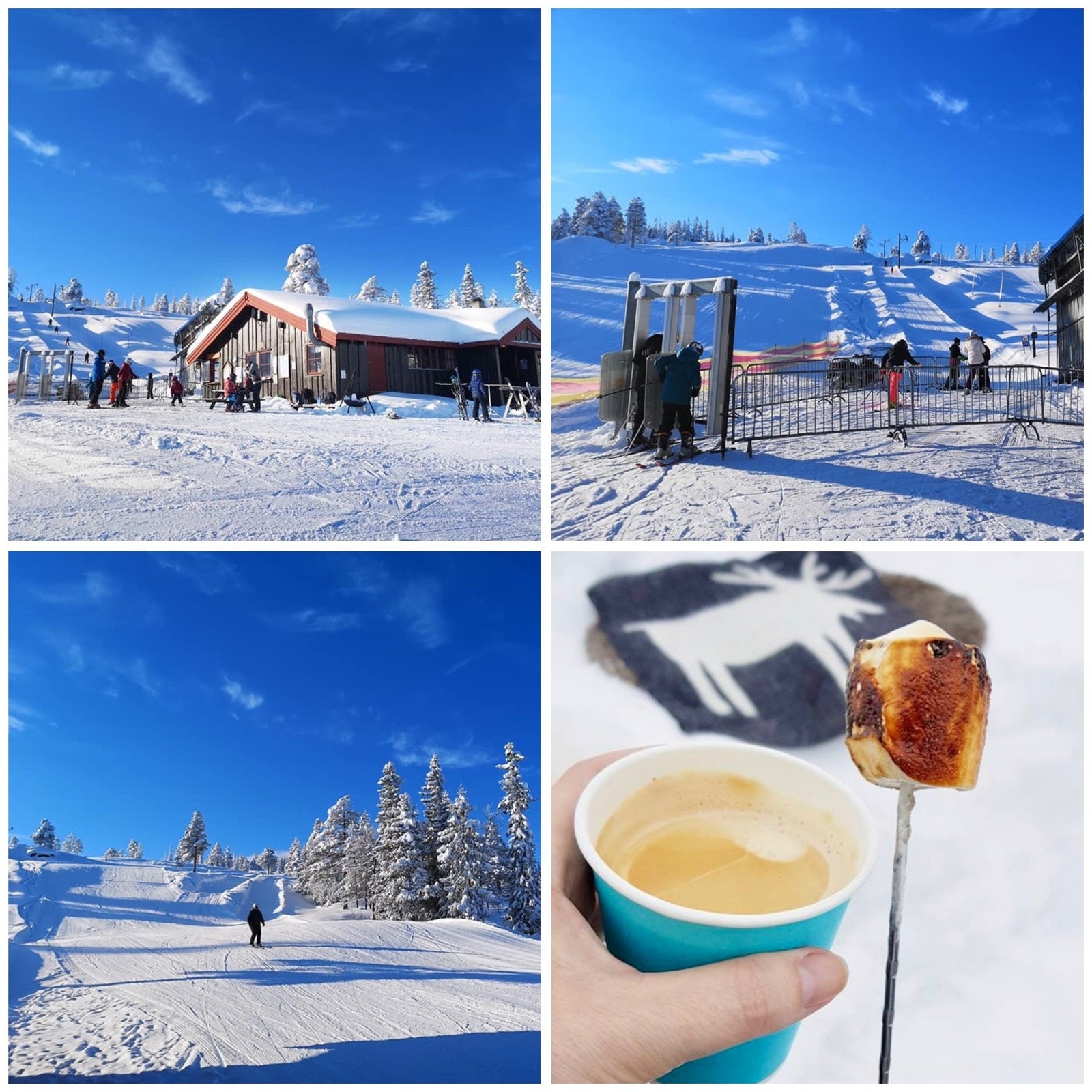 Alpinanlegg. Galleribilde