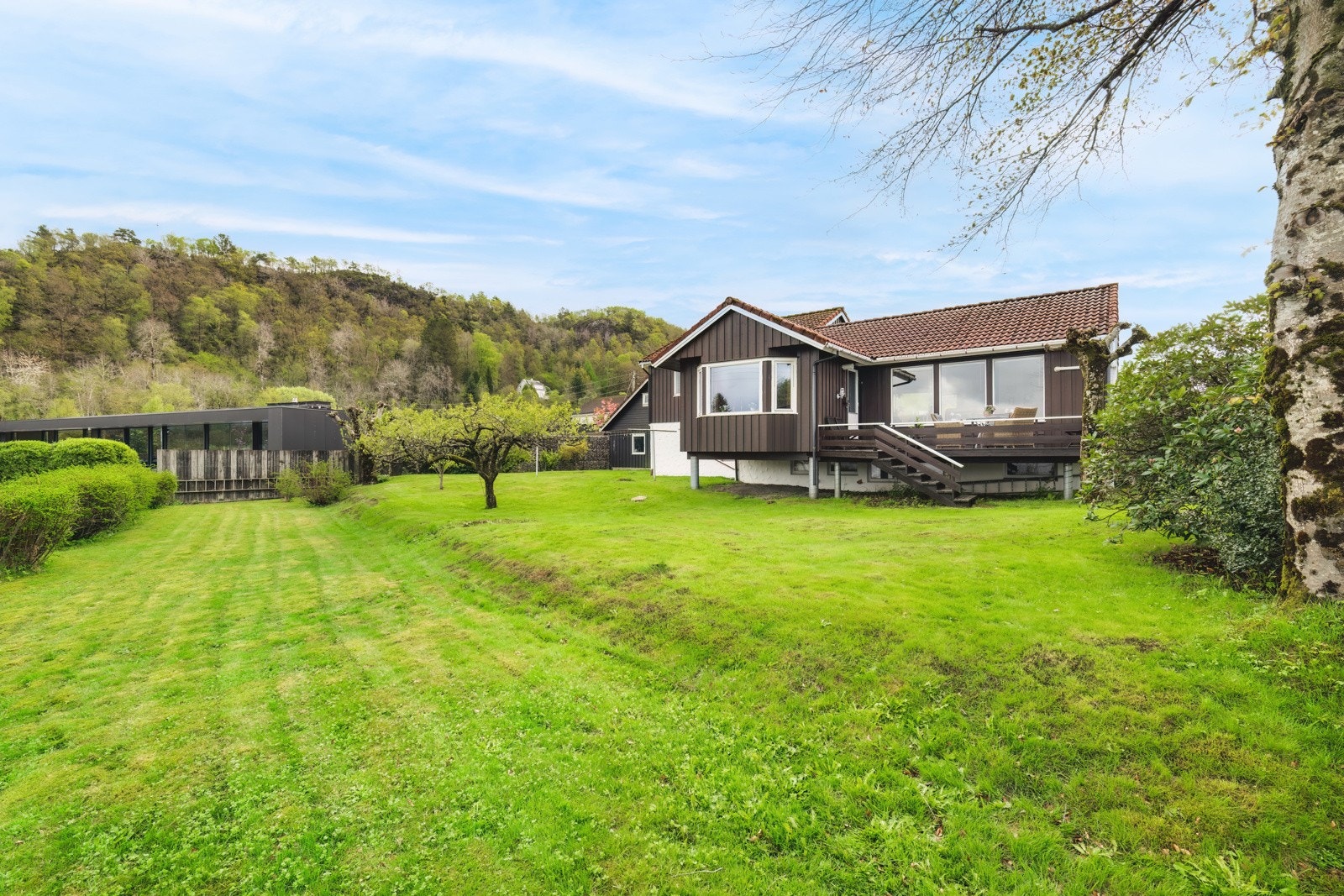 Pent opparbeidet hage med plen, prydbusker og trær. Galleribilde