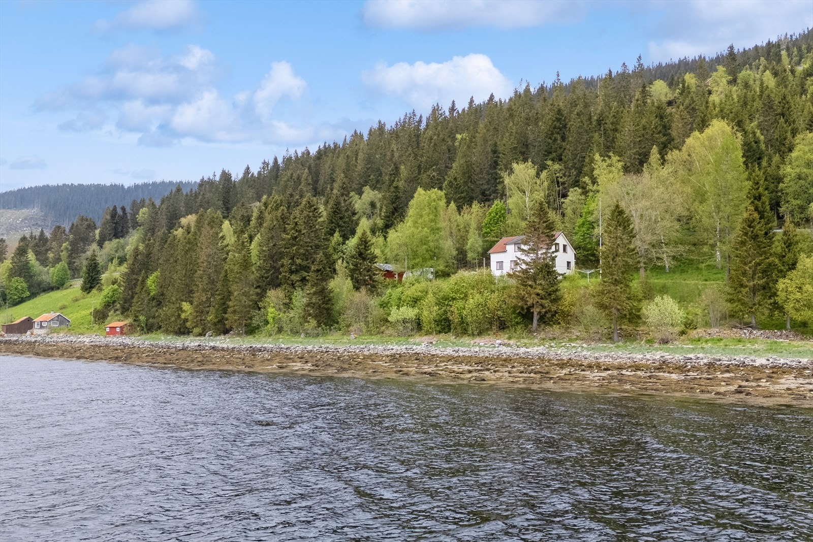 Velkommen til en trivelig visning! Galleribilde