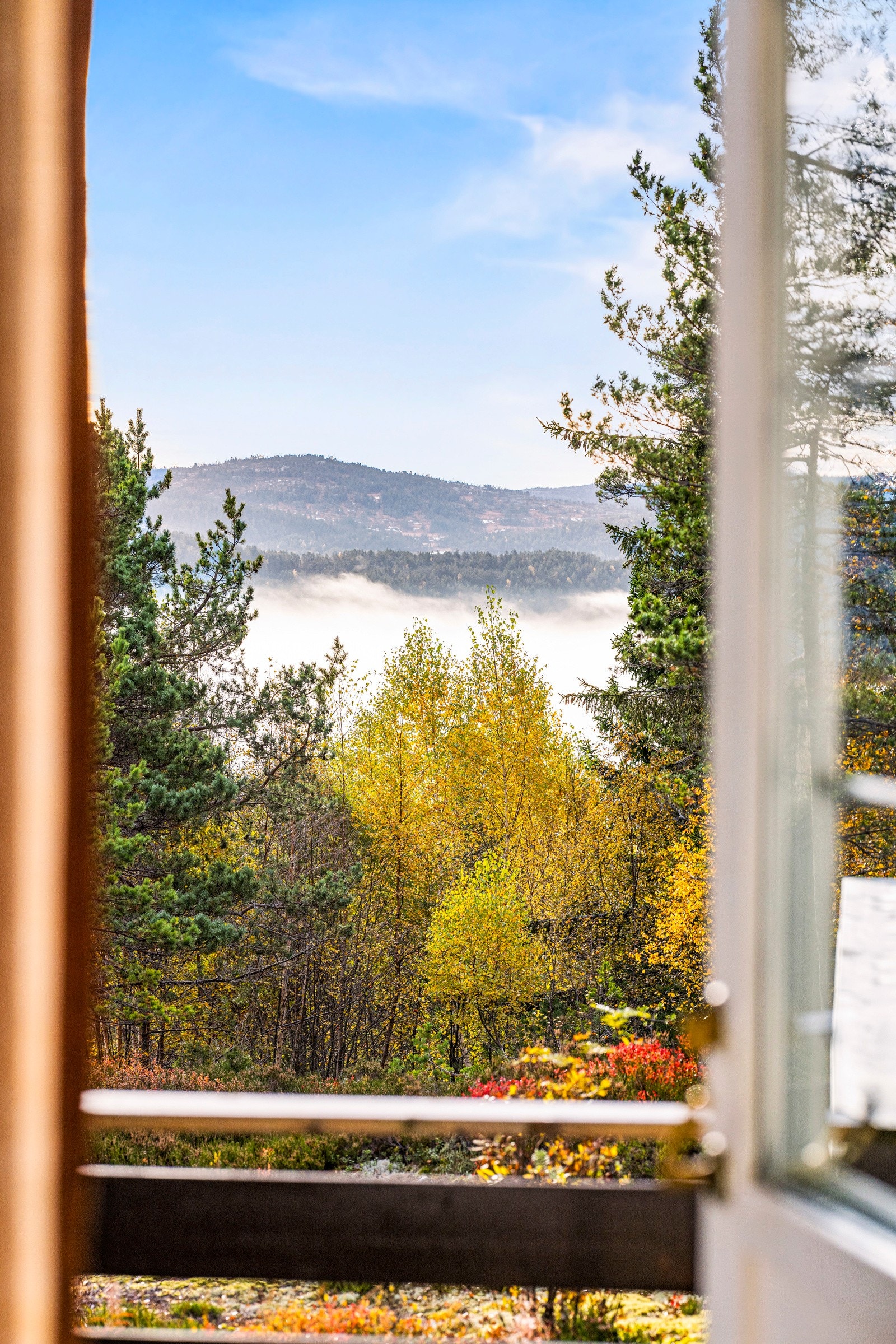 Utsikten fra stua. Galleribilde