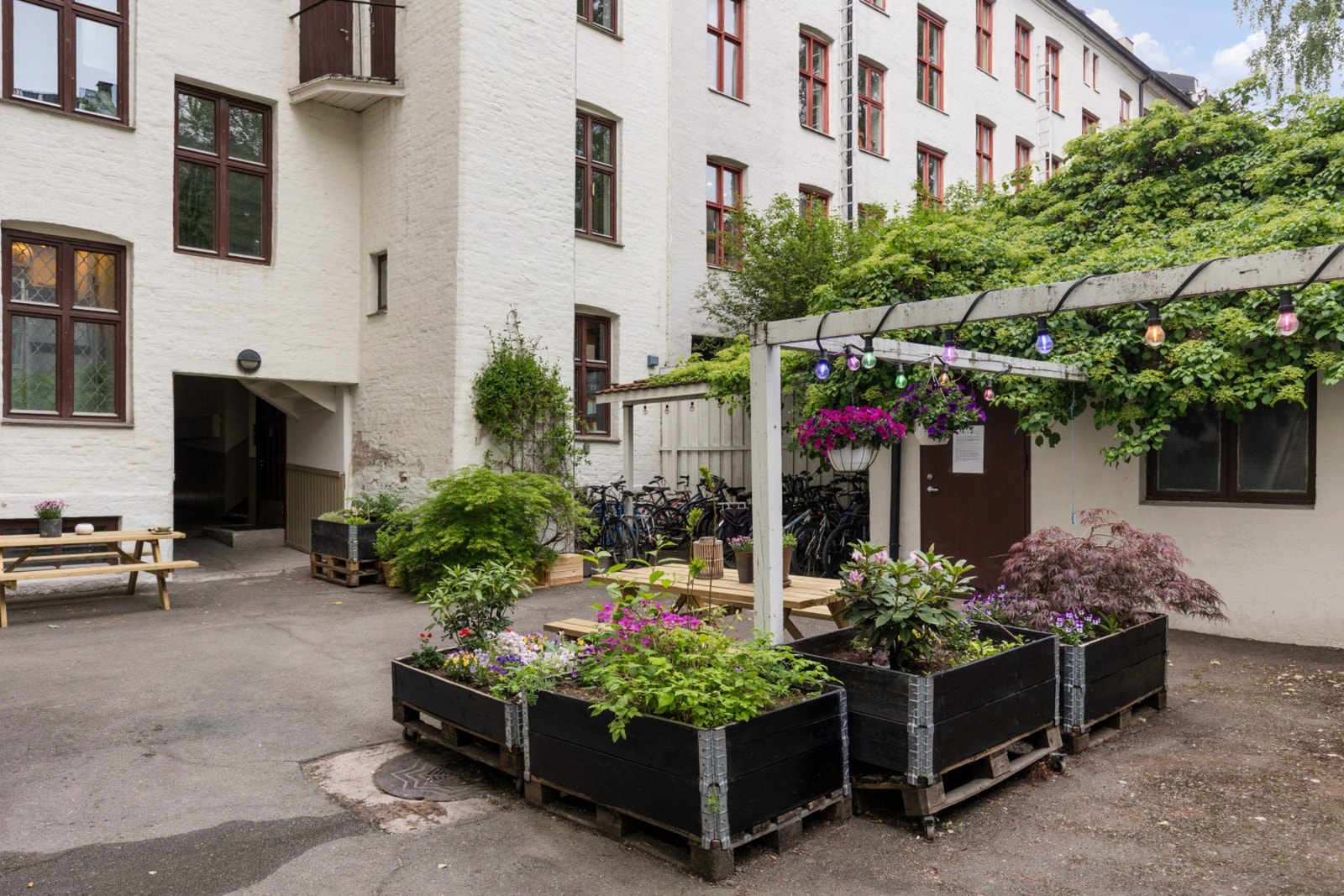 Hyggelig felles bakgård med uteplass hvor man kan nyte morgen-kaffen. Galleribilde