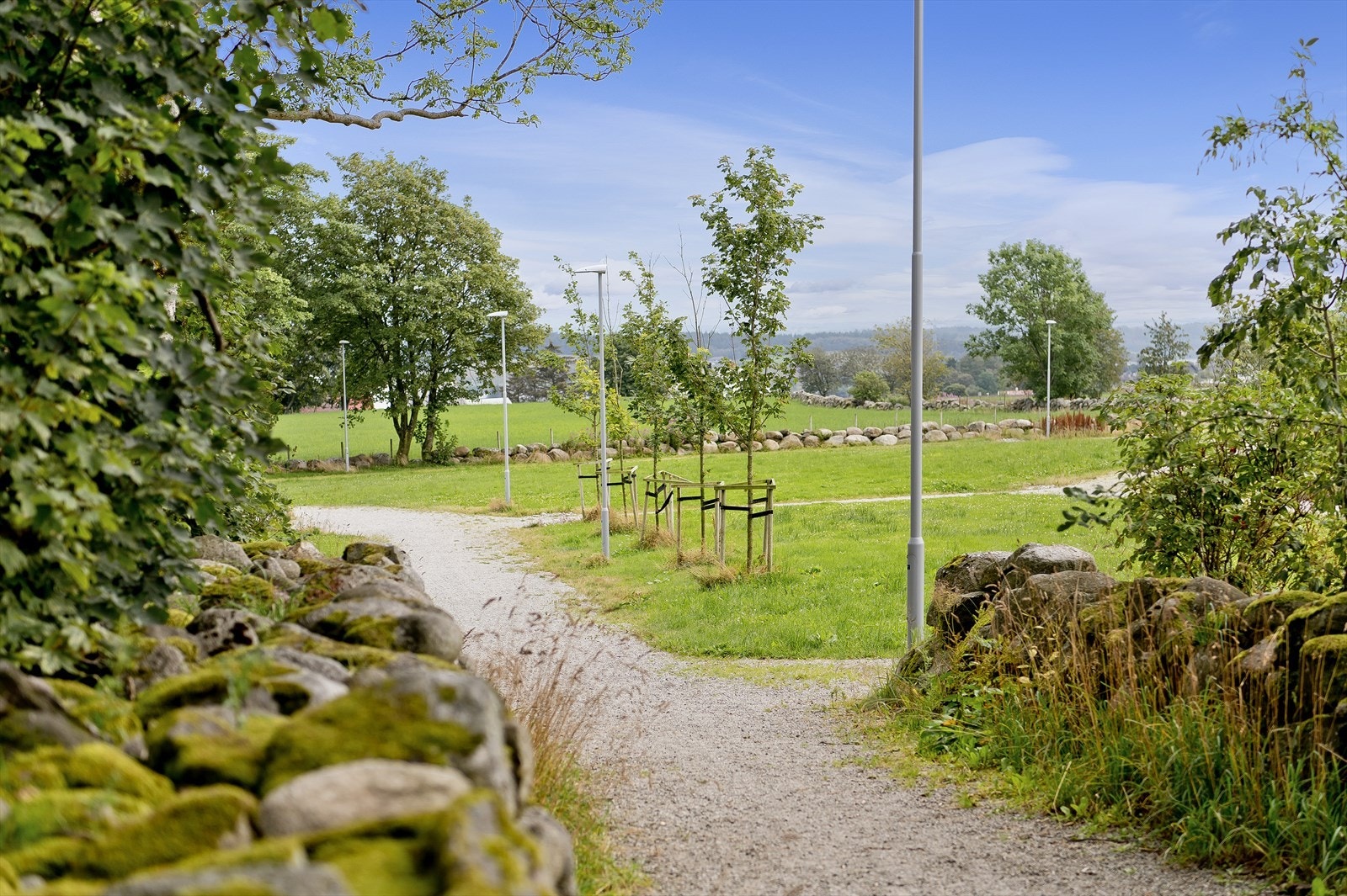 Nærområdet. Galleribilde