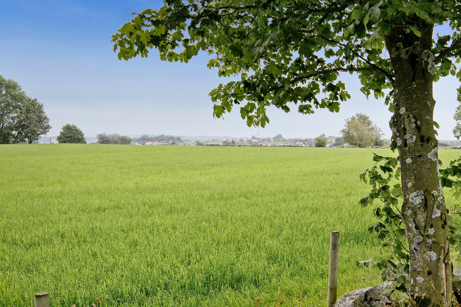 Nærområdet. Galleribilde