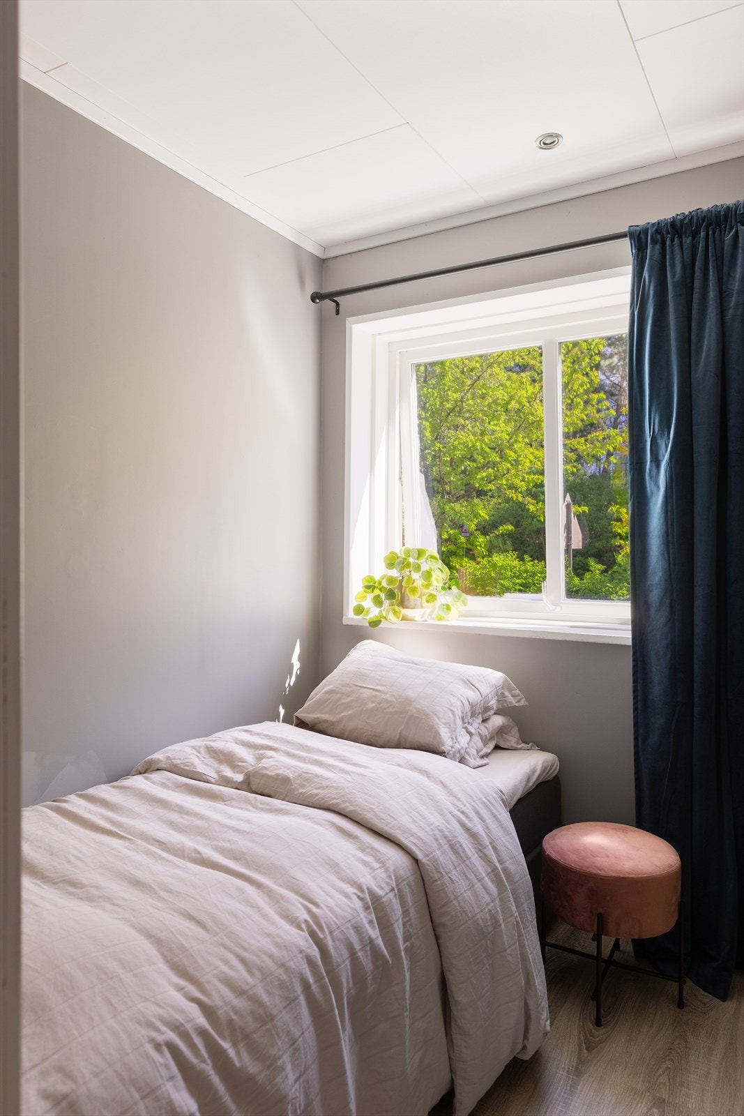 ny2-3.jpg Galleribilde