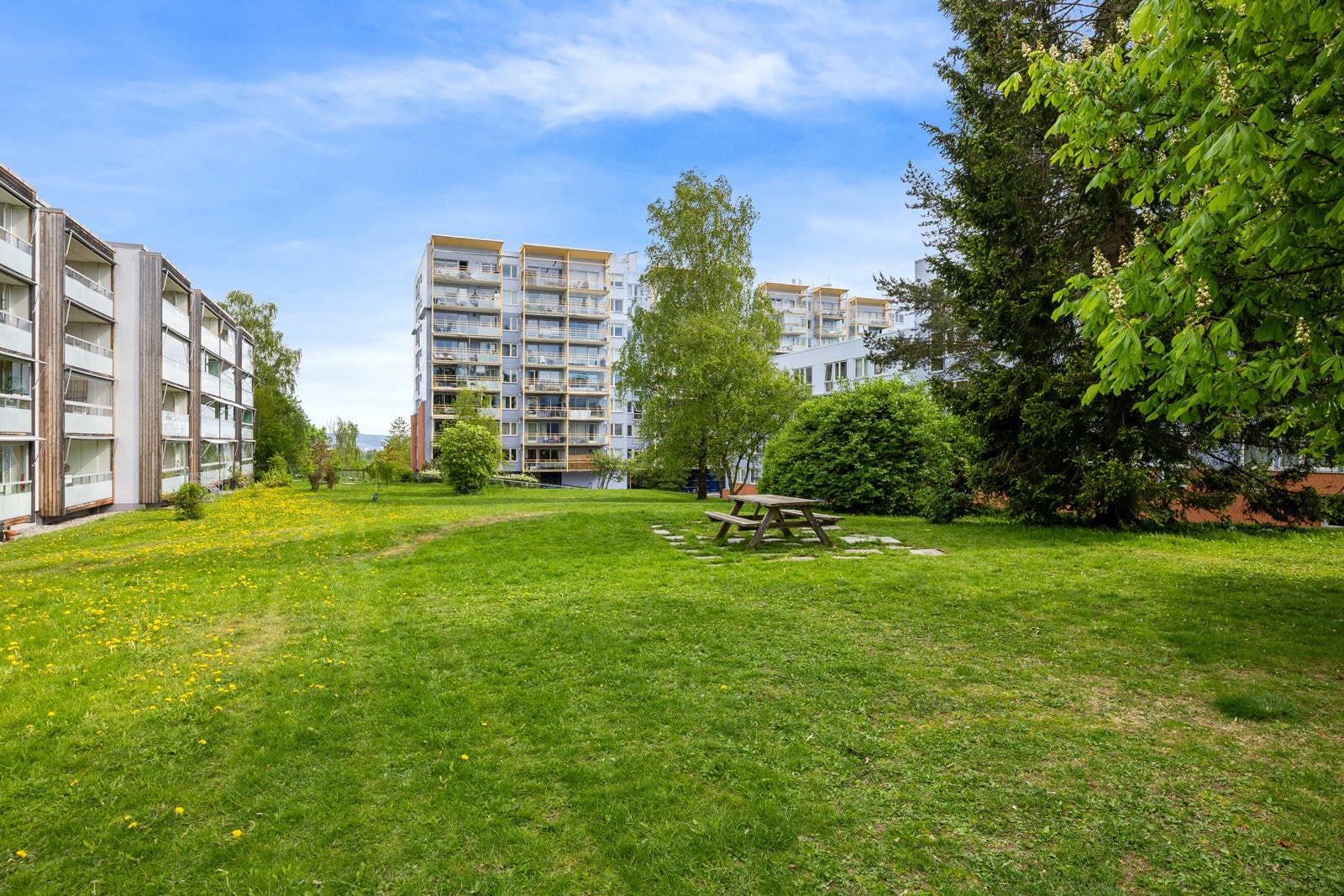 Det er rikelig med boltreplass på store, solrike plenområder mellom bygningene. Galleribilde