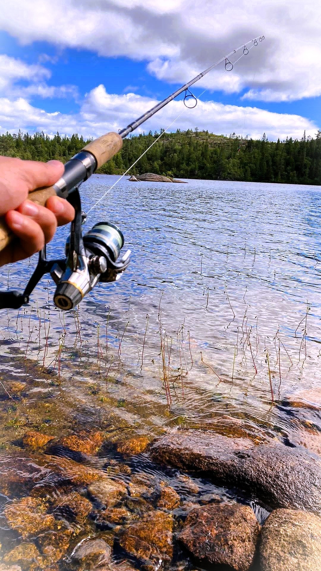 Fiskevann i området Galleribilde