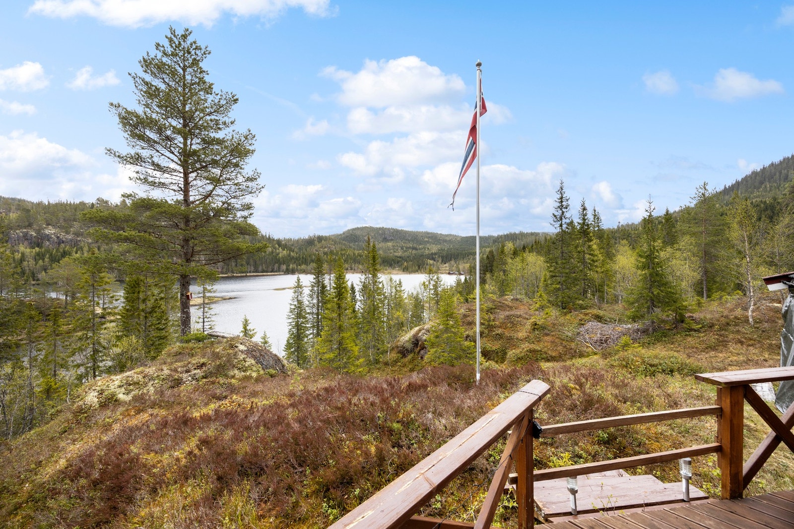 Fri utsikt over vannet og mot skoglandskap! Galleribilde