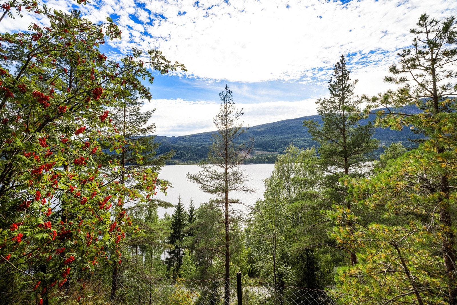 Fine badeplasser i nærområdet. Galleribilde