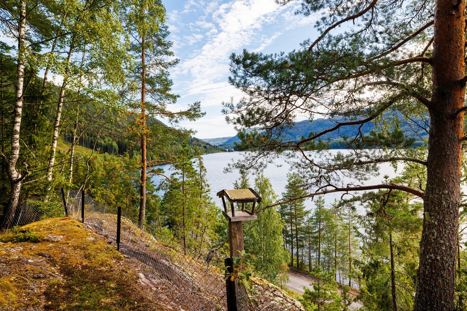 Fra hytta er det kun 3 min til villfisken. Galleribilde