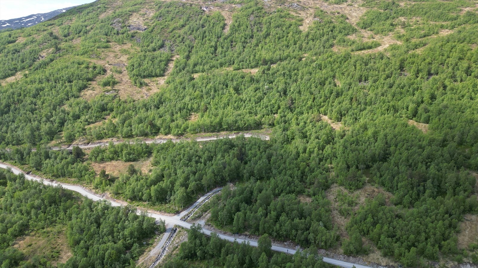Dronefoto Galleribilde