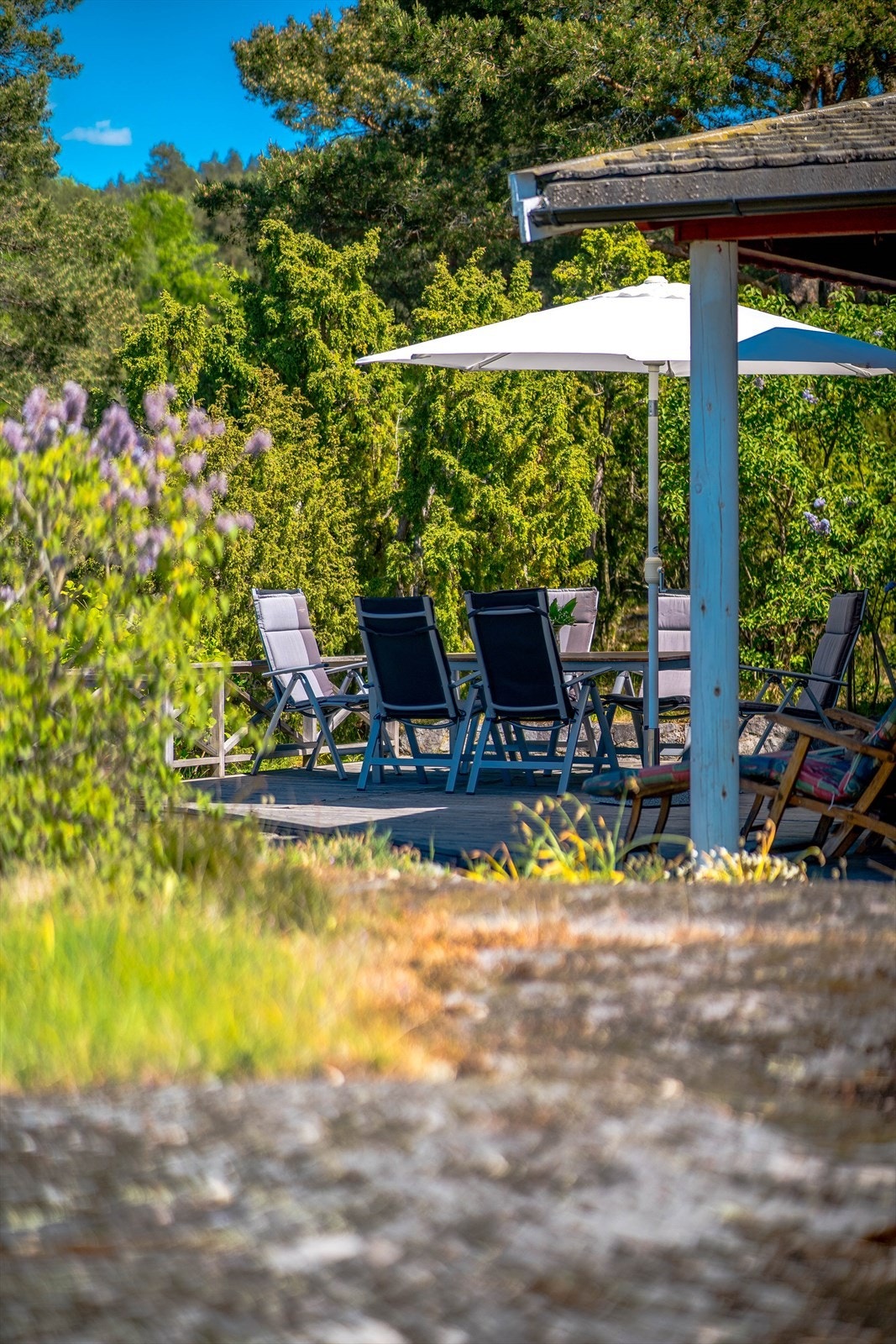 Terrassen er omkranset av naturlig vegetasjon. Galleribilde
