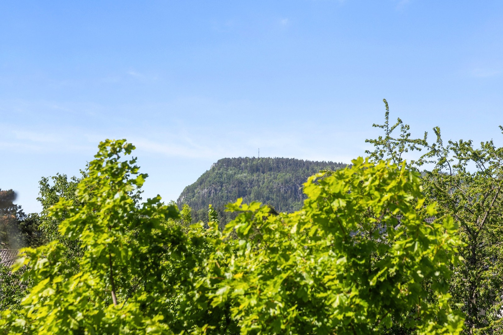 Det er også utsikt til nærområdet fra flere steder i boligen. Galleribilde