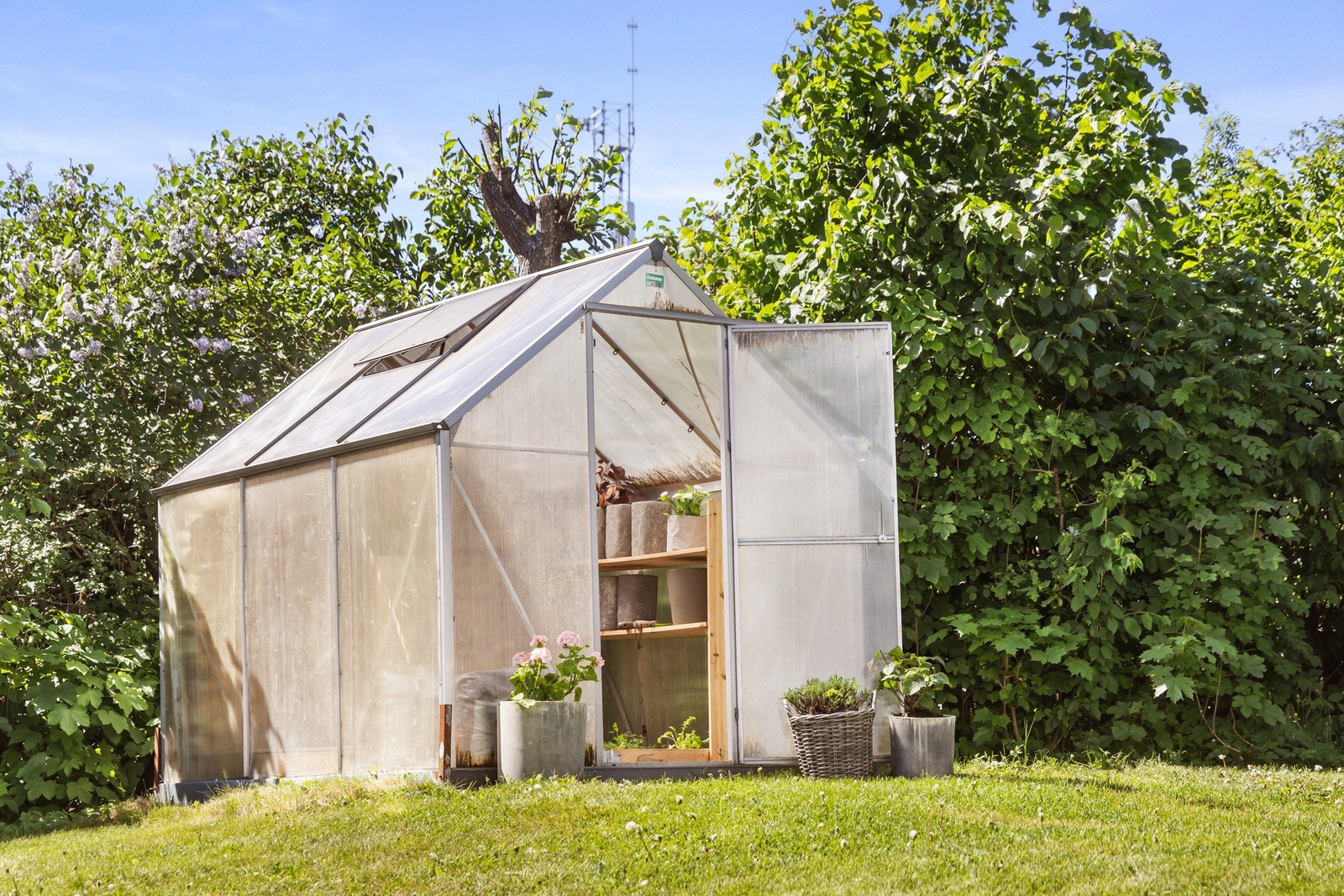 Detaljbilde. Galleribilde