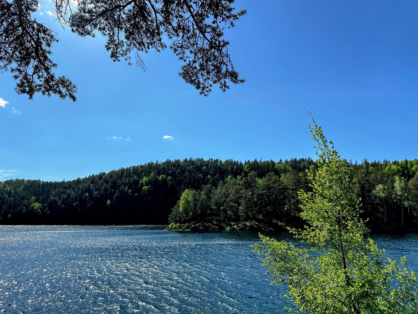 Lutvann - utsikt til øy i Lutvann Galleribilde