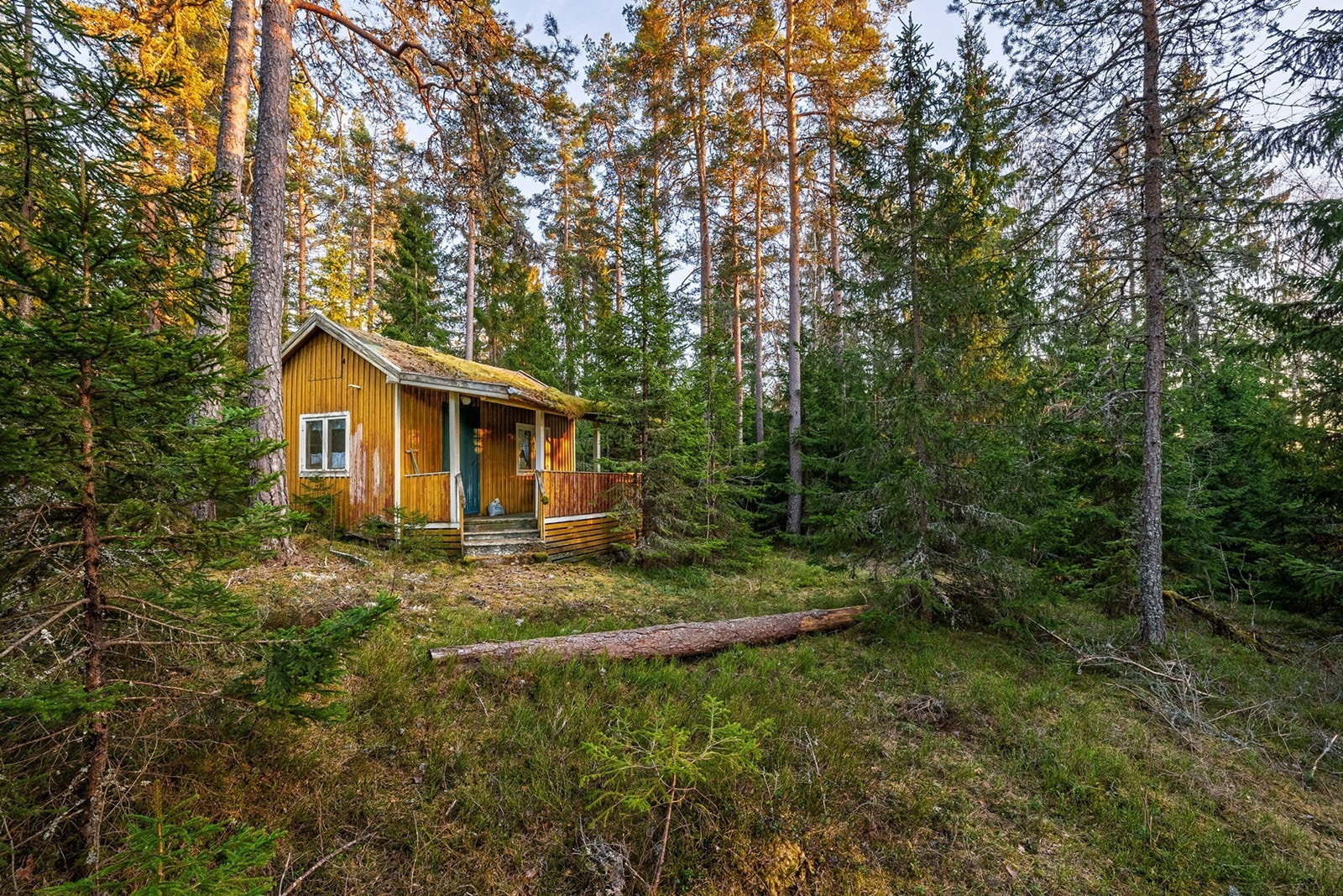 Tomten er per i dag bebygd med en eldre hytte, men denne er å anse som et rivningsobjekt. Galleribilde